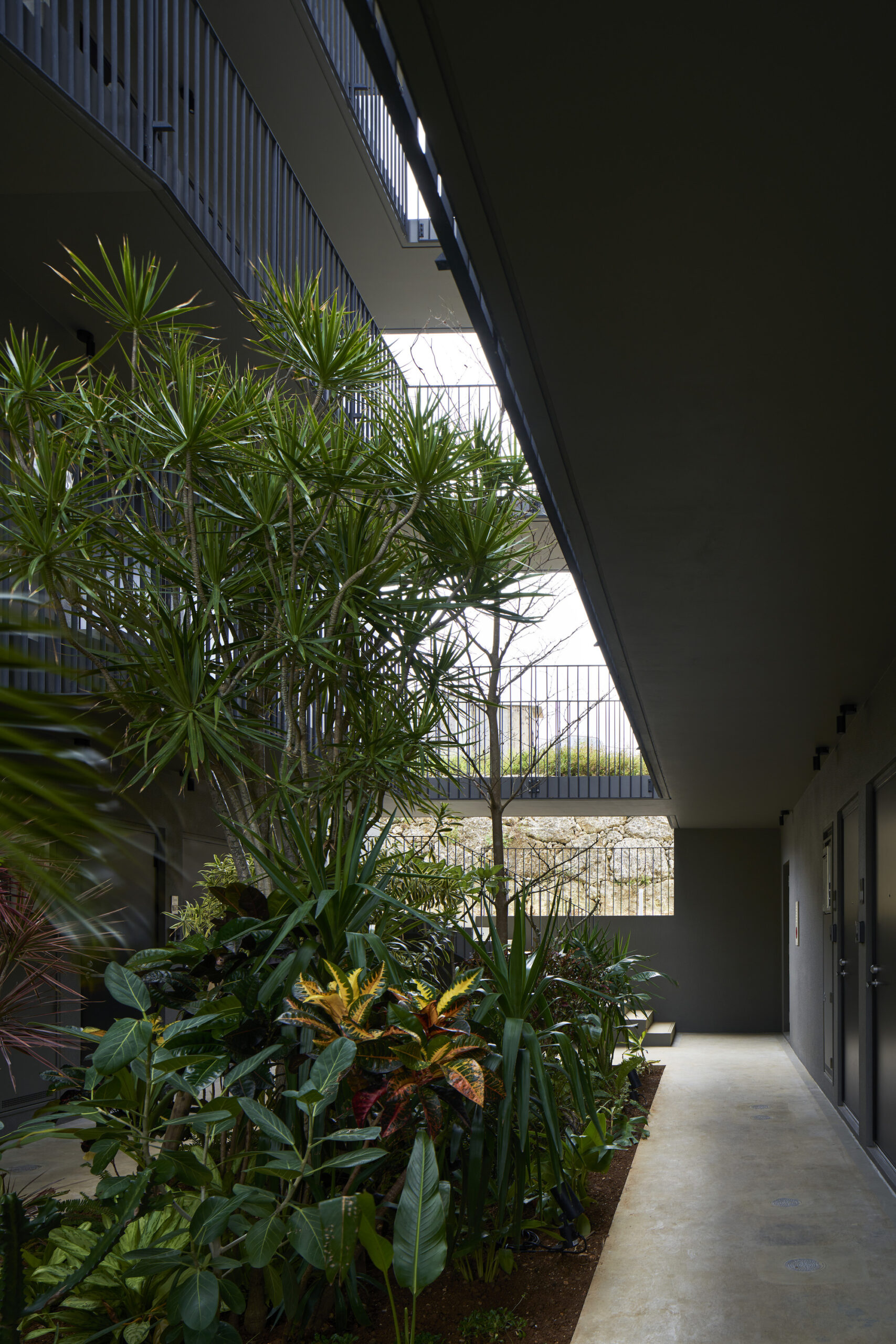 N Apartment