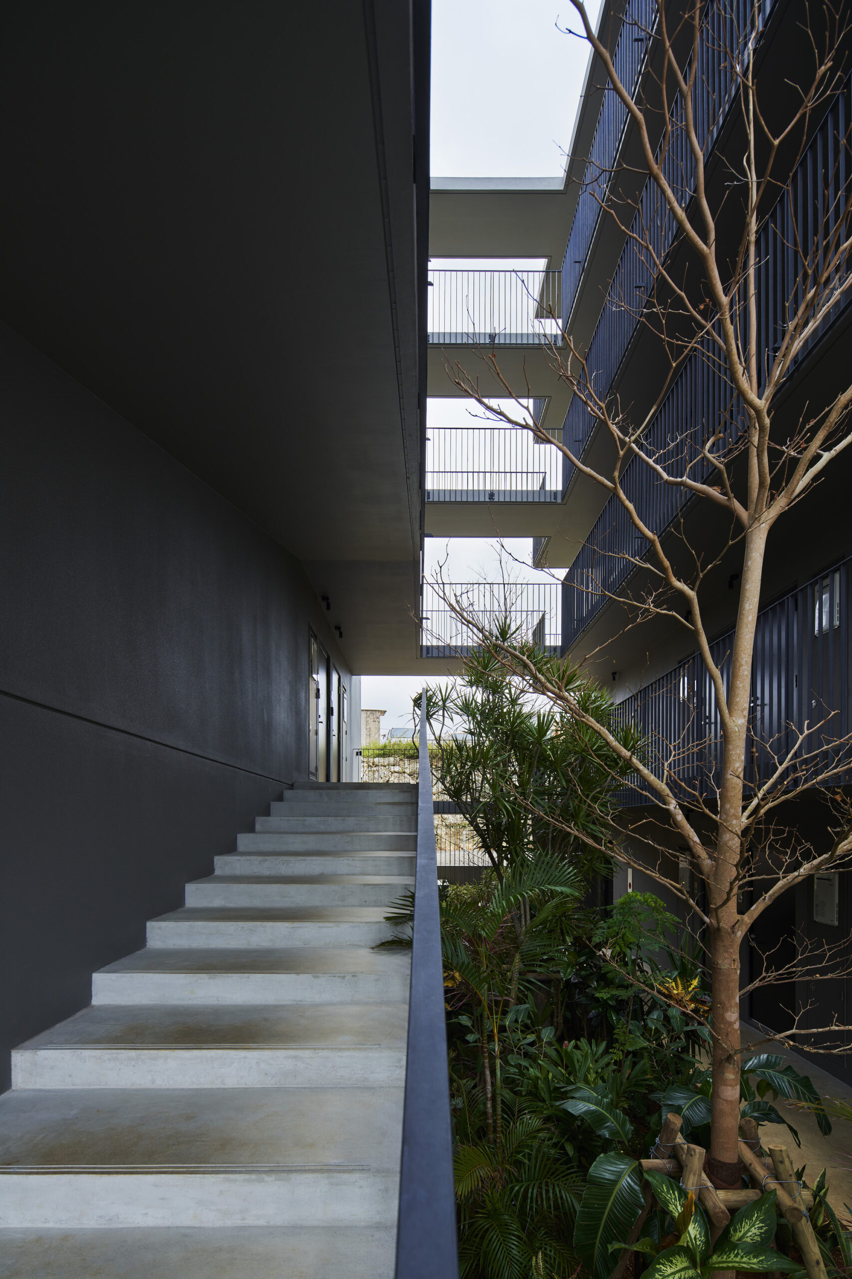 N Apartment