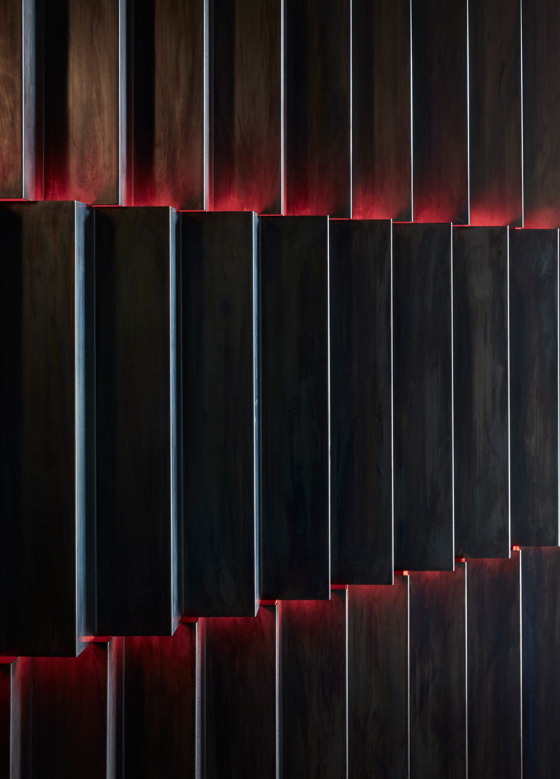 © Willem Dirk du Toit10