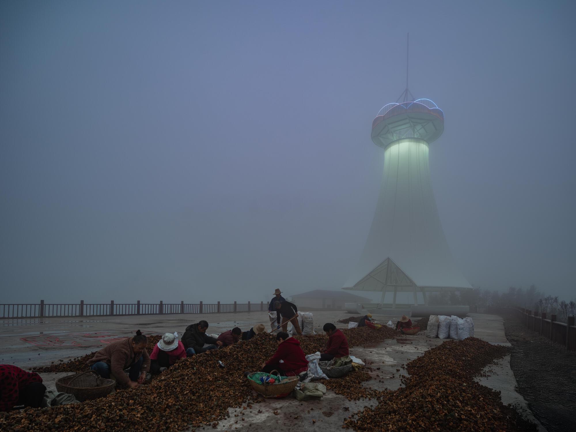 Suixian Agricultural Infrastructure Renovation