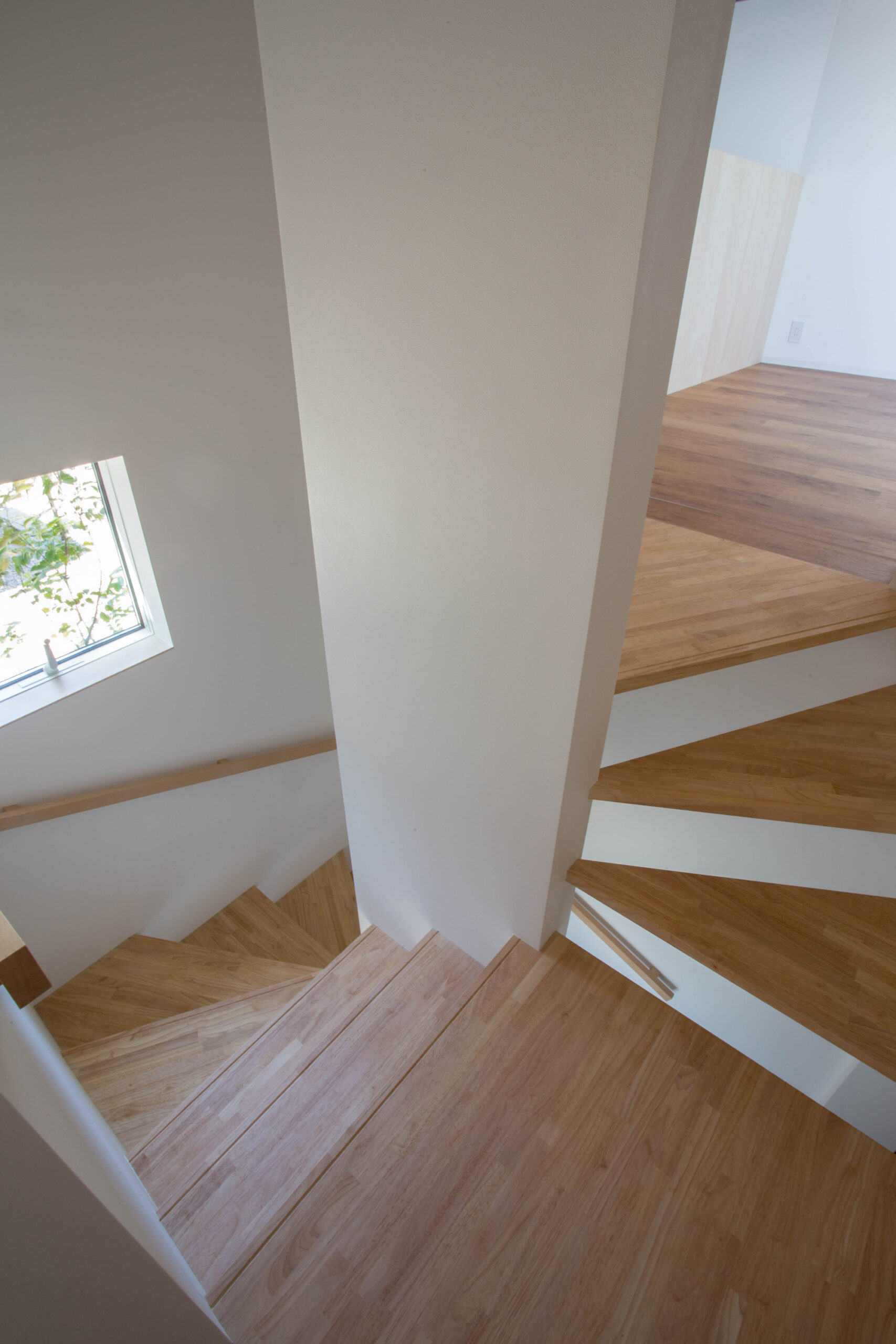 Courtesy of 1 1 Architects9