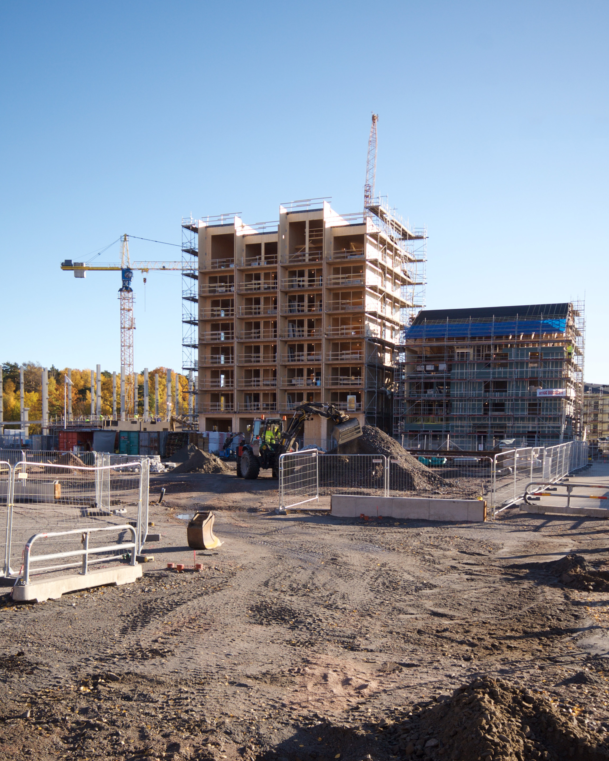 Kajstaden Tall Timber