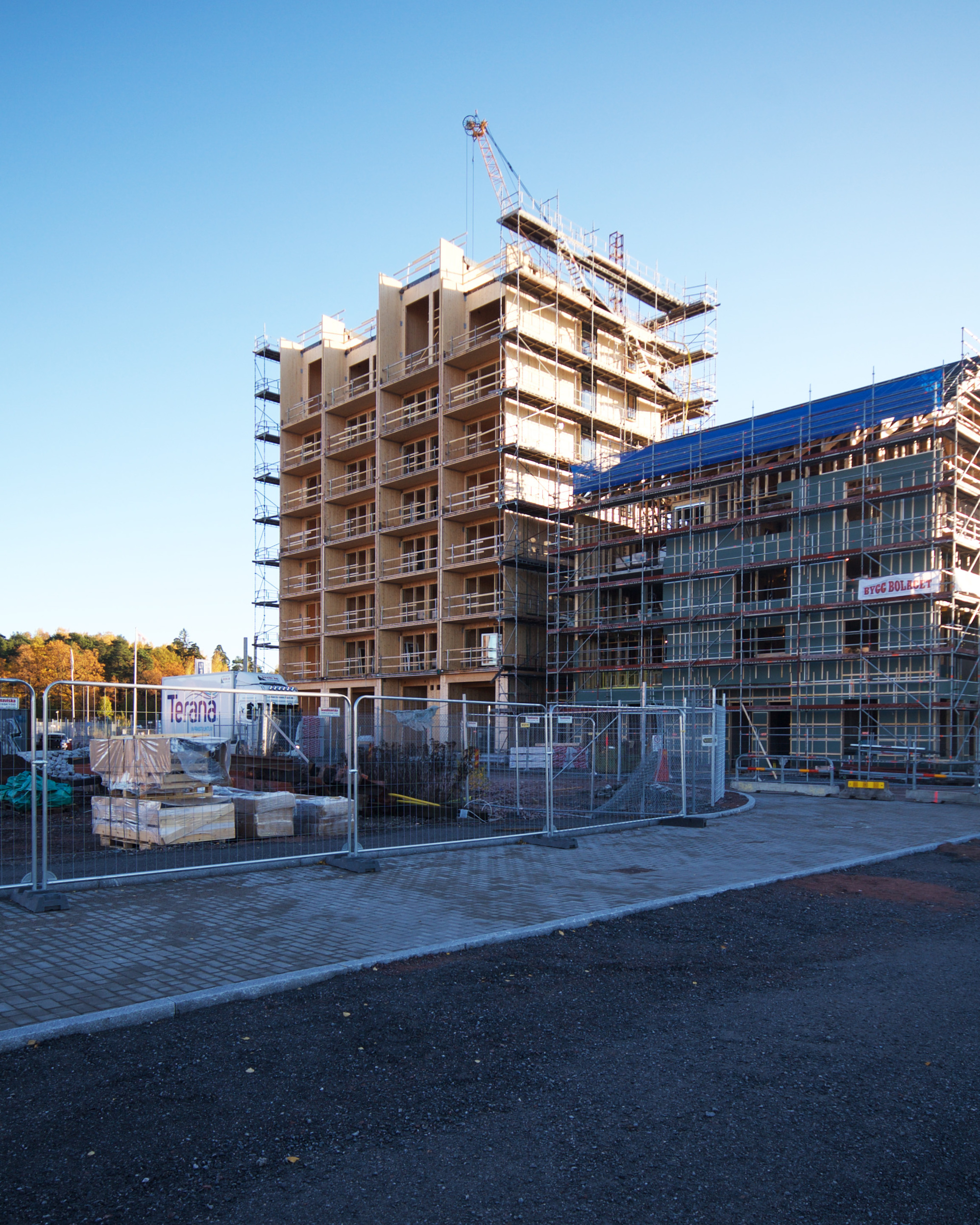 Kajstaden Tall Timber