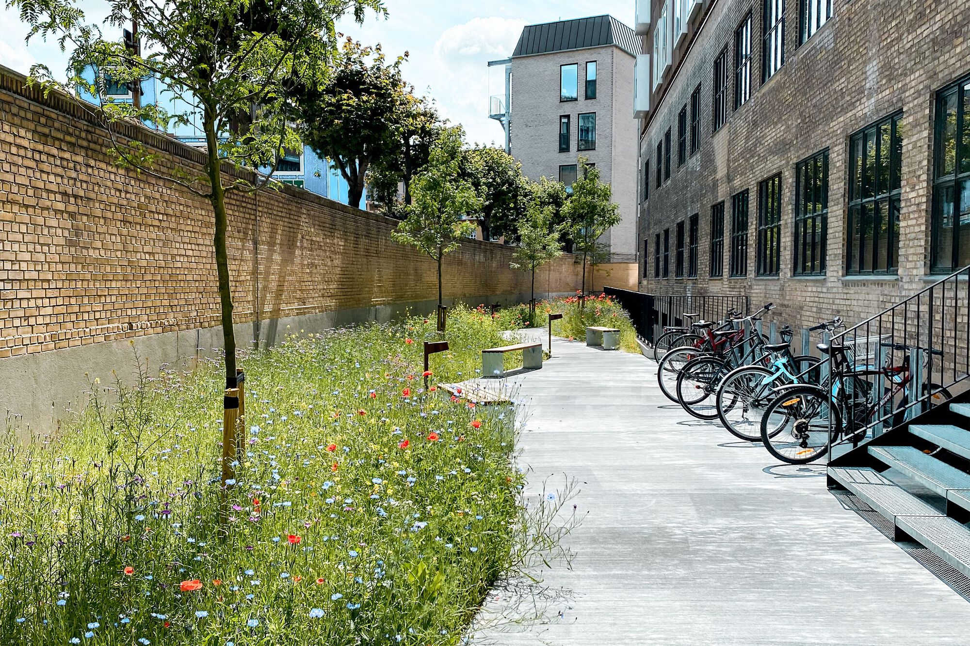 Courtesy of LYTT Architecture11