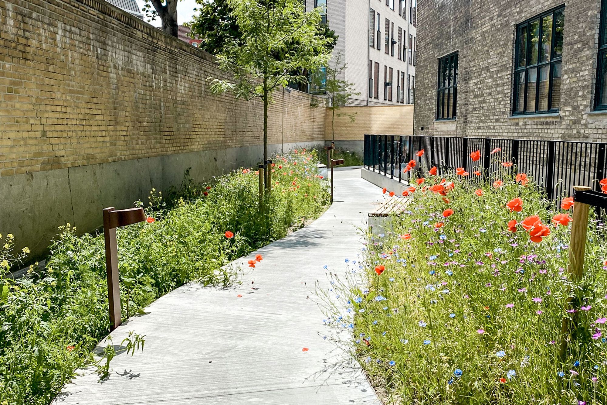 Courtesy of LYTT Architecture14