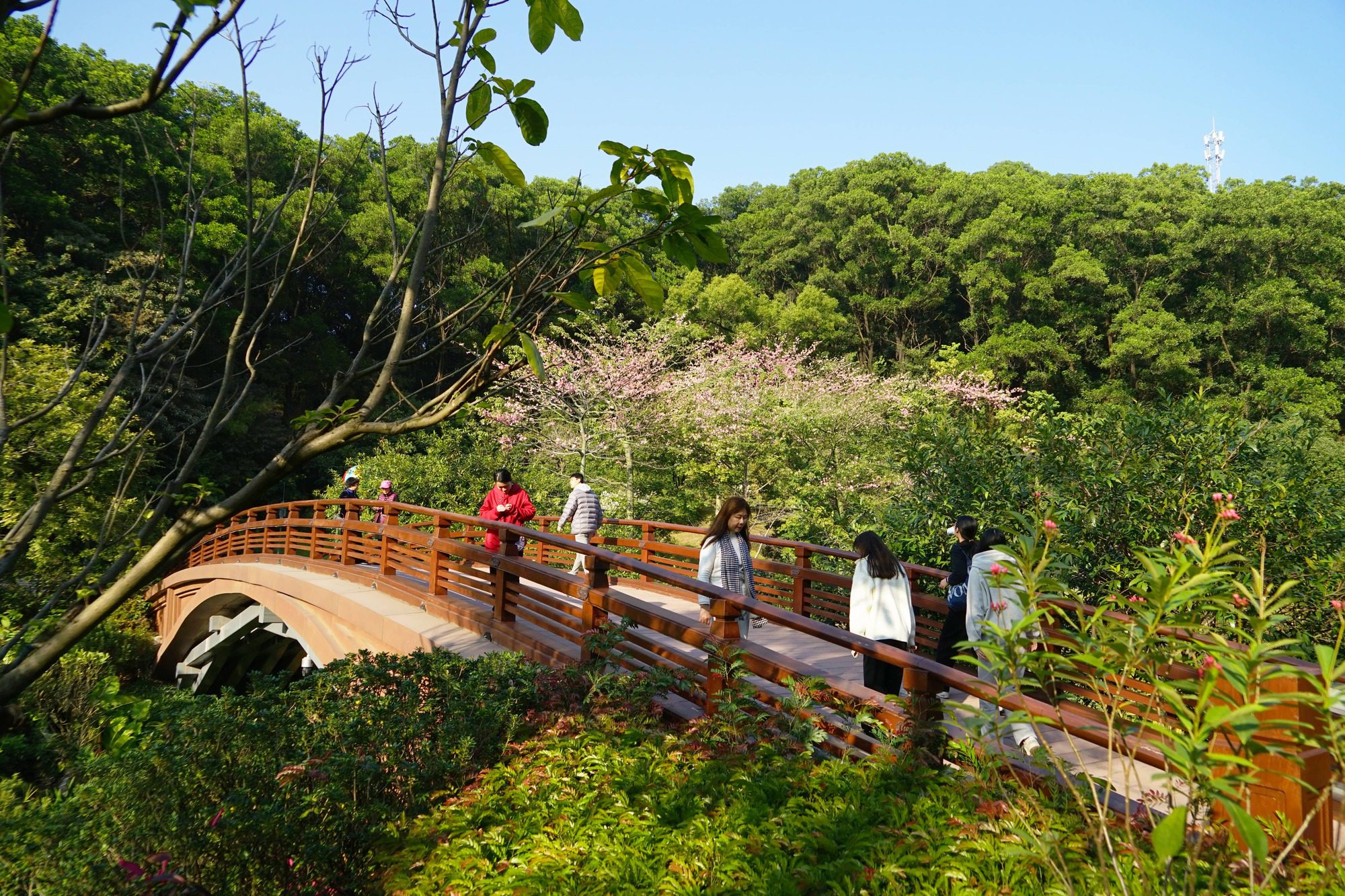 Guangzhou Yunxi Botanical Garden