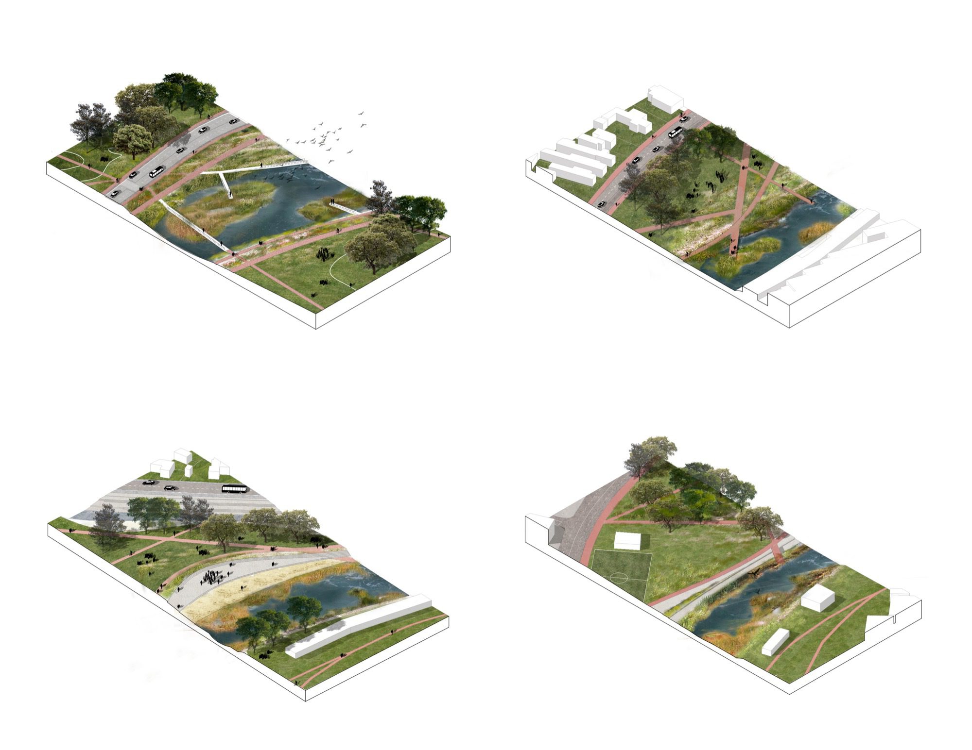 Someș River Regeneration