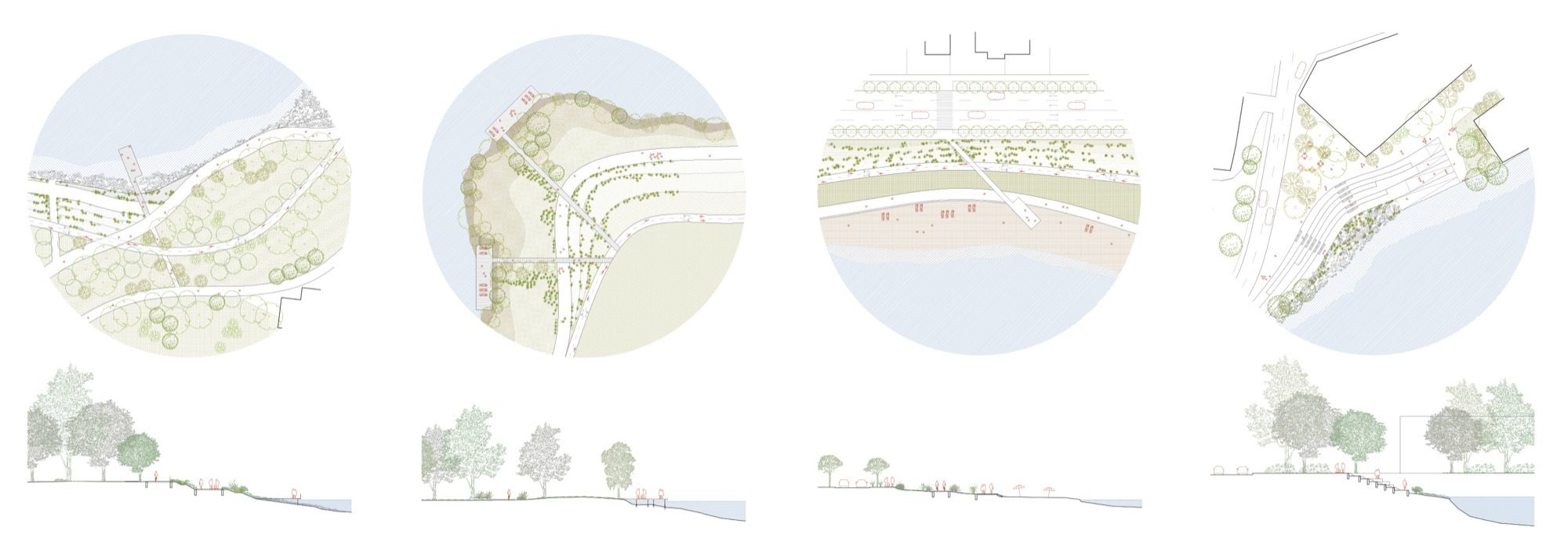 Someș River Regeneration