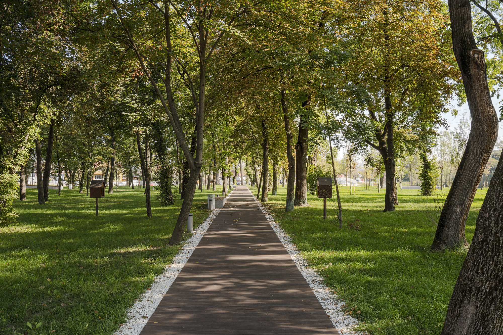 Someș River Regeneration