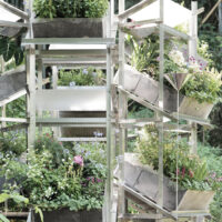 Flower Room