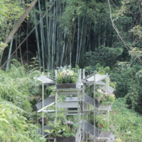 Flower Room