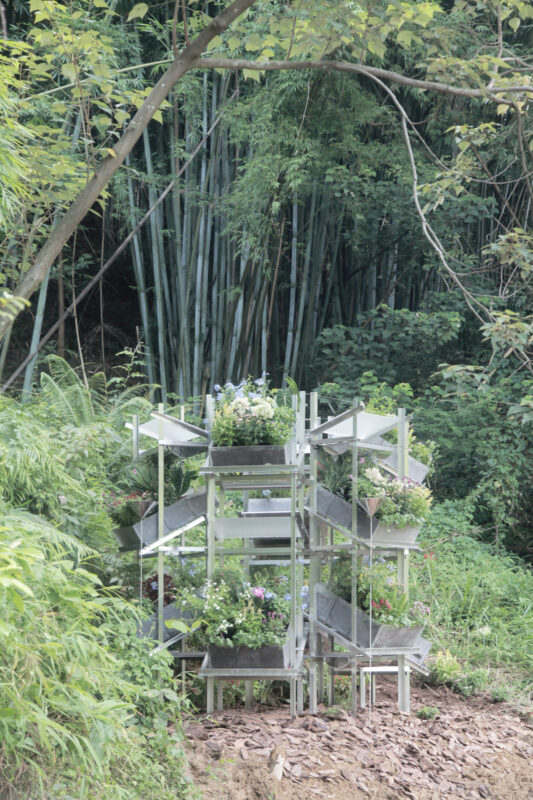 Flower Room