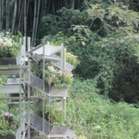 Flower Room