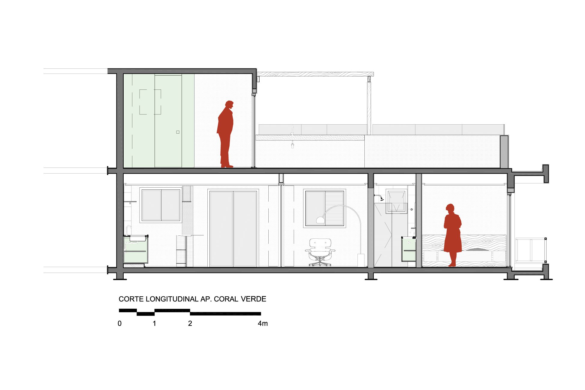Longitudinal section24