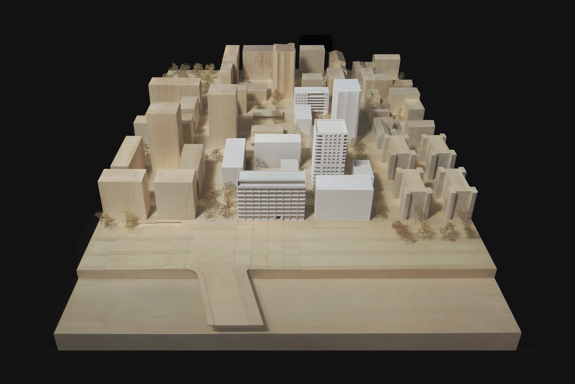 Lyon Confluence Mixed-Use Quarter