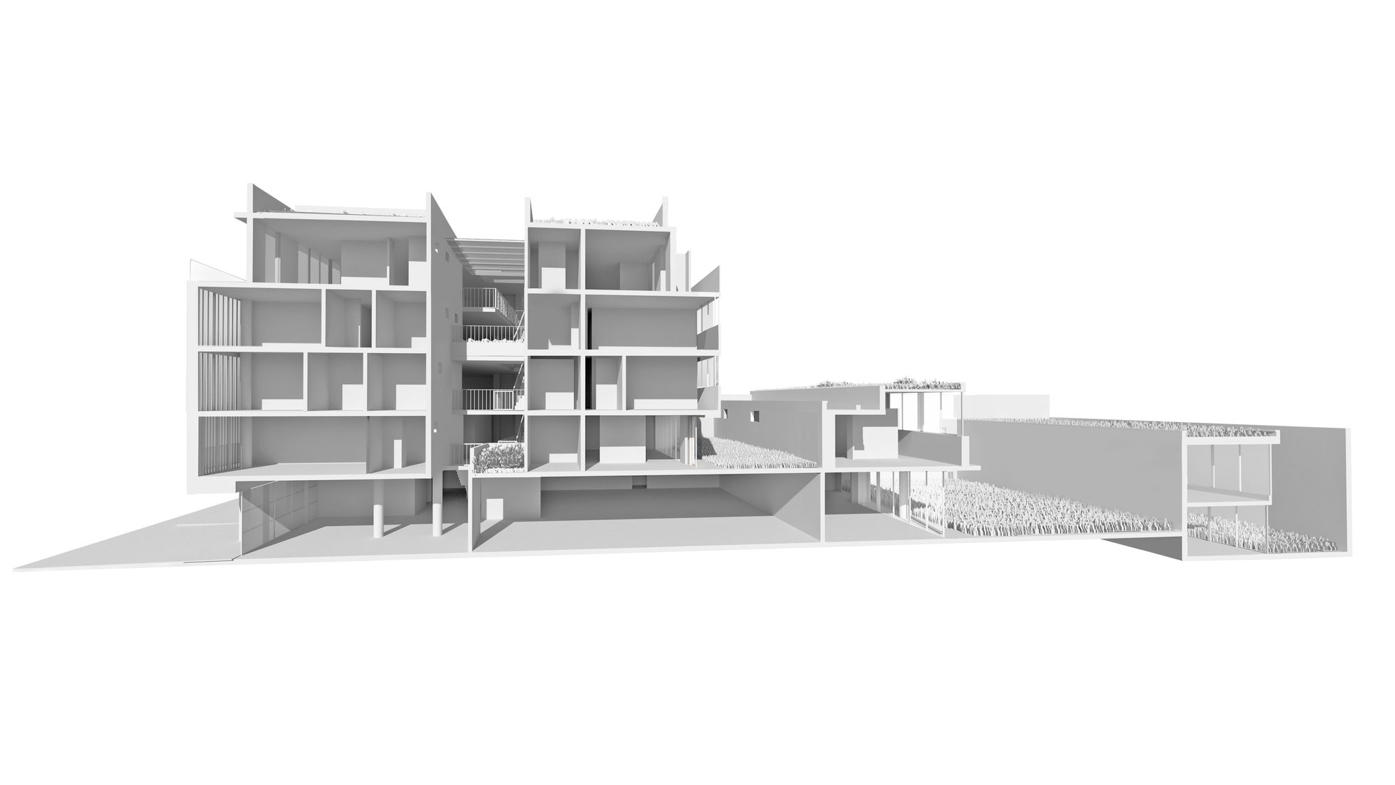 Model section31