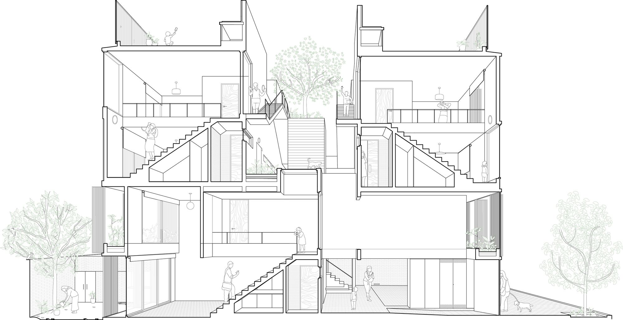 Perspective Section38