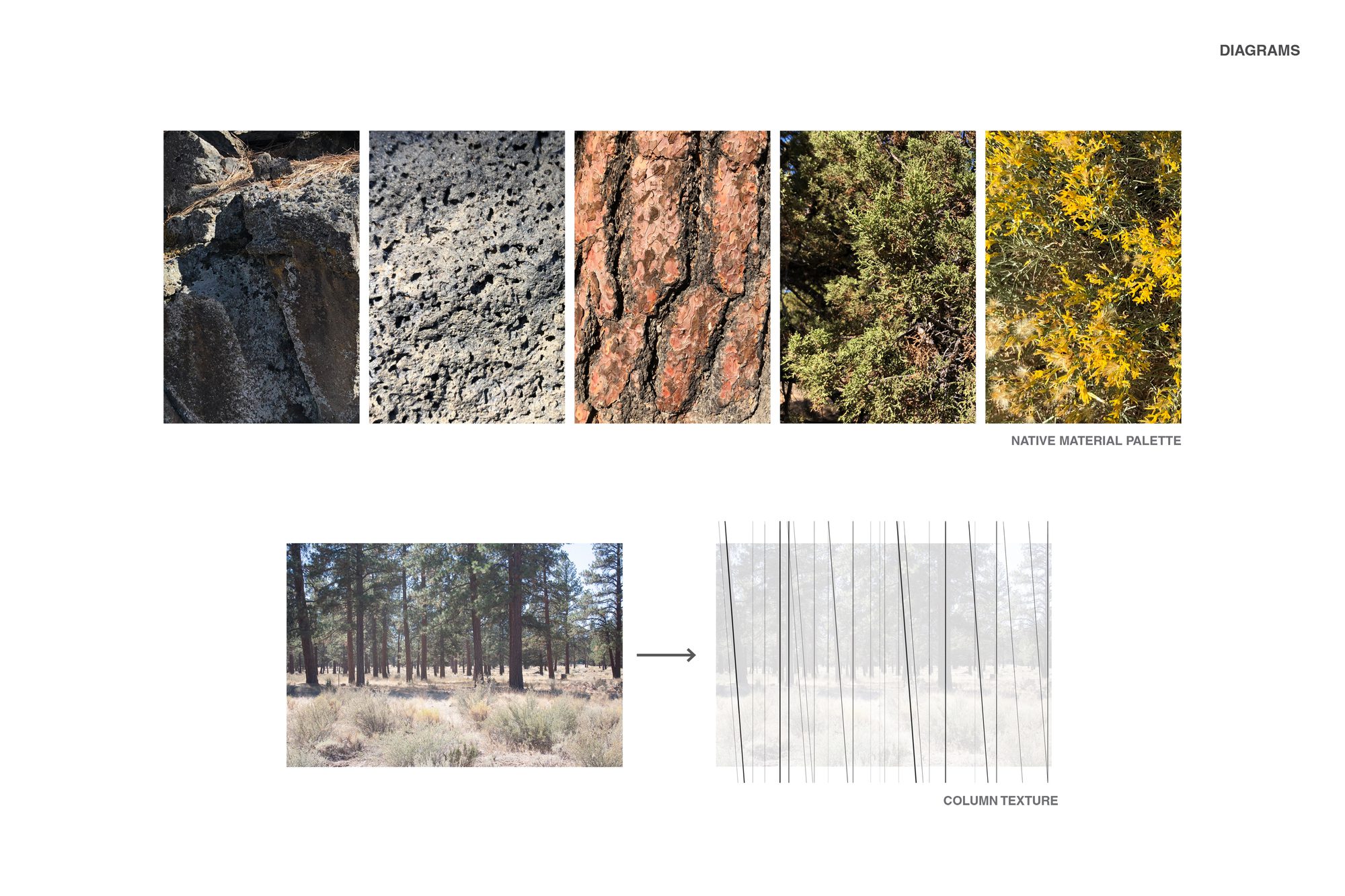 Alpenglow Community Park