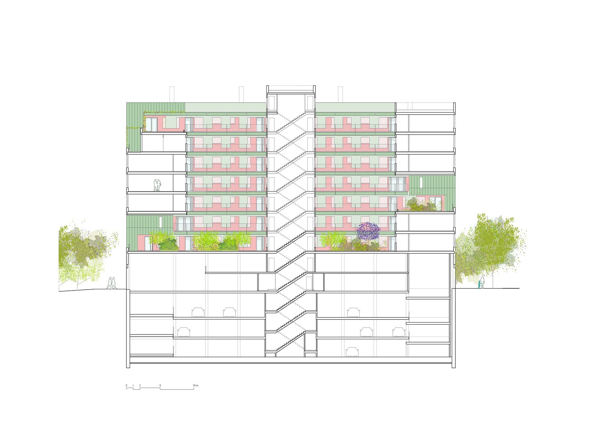 Section Longitudinal25