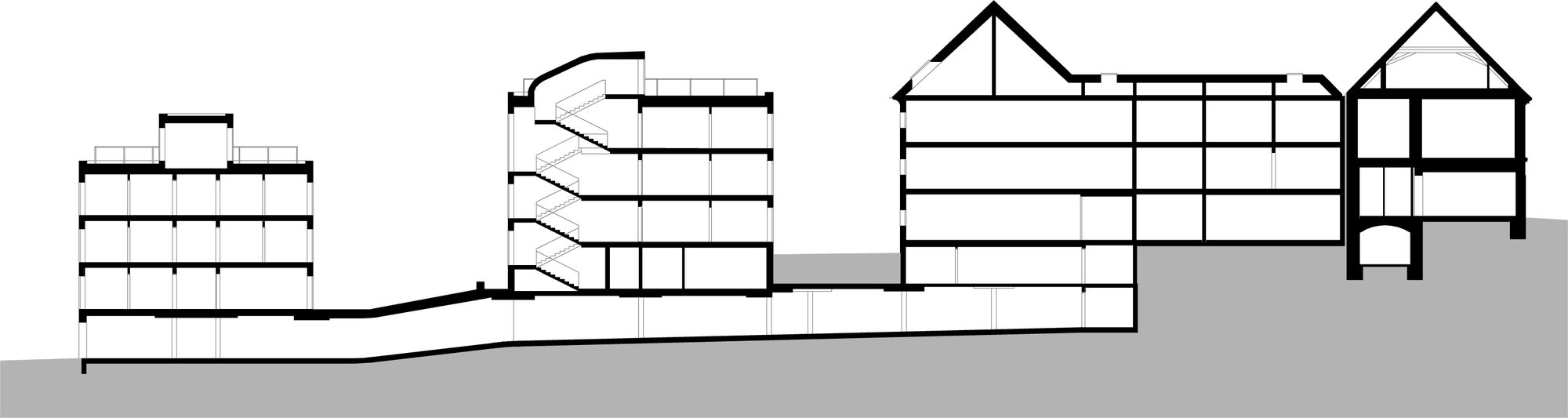 Section19