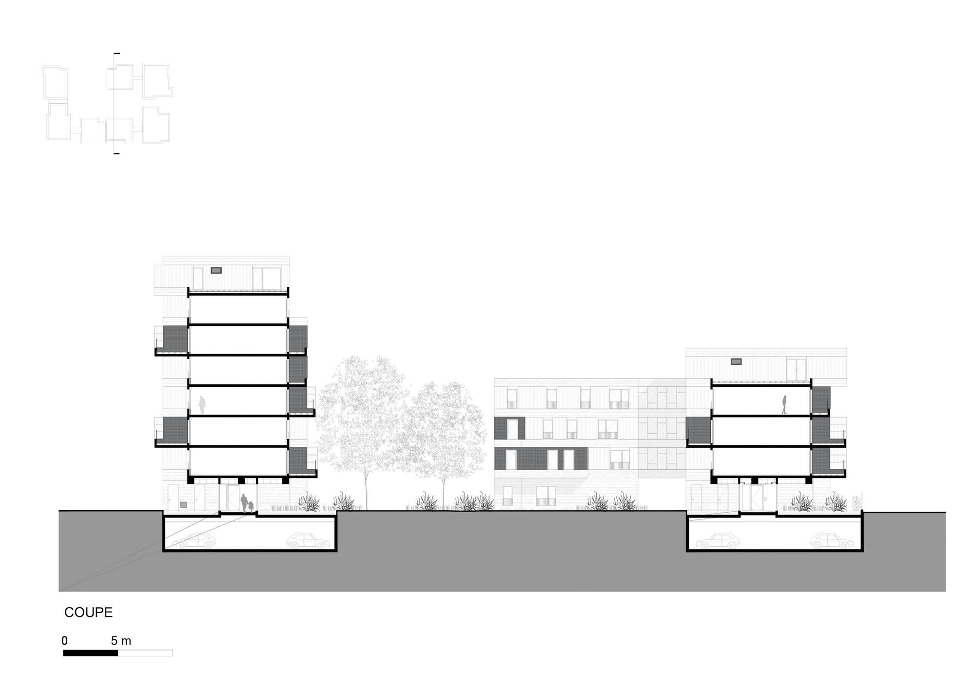 Section25