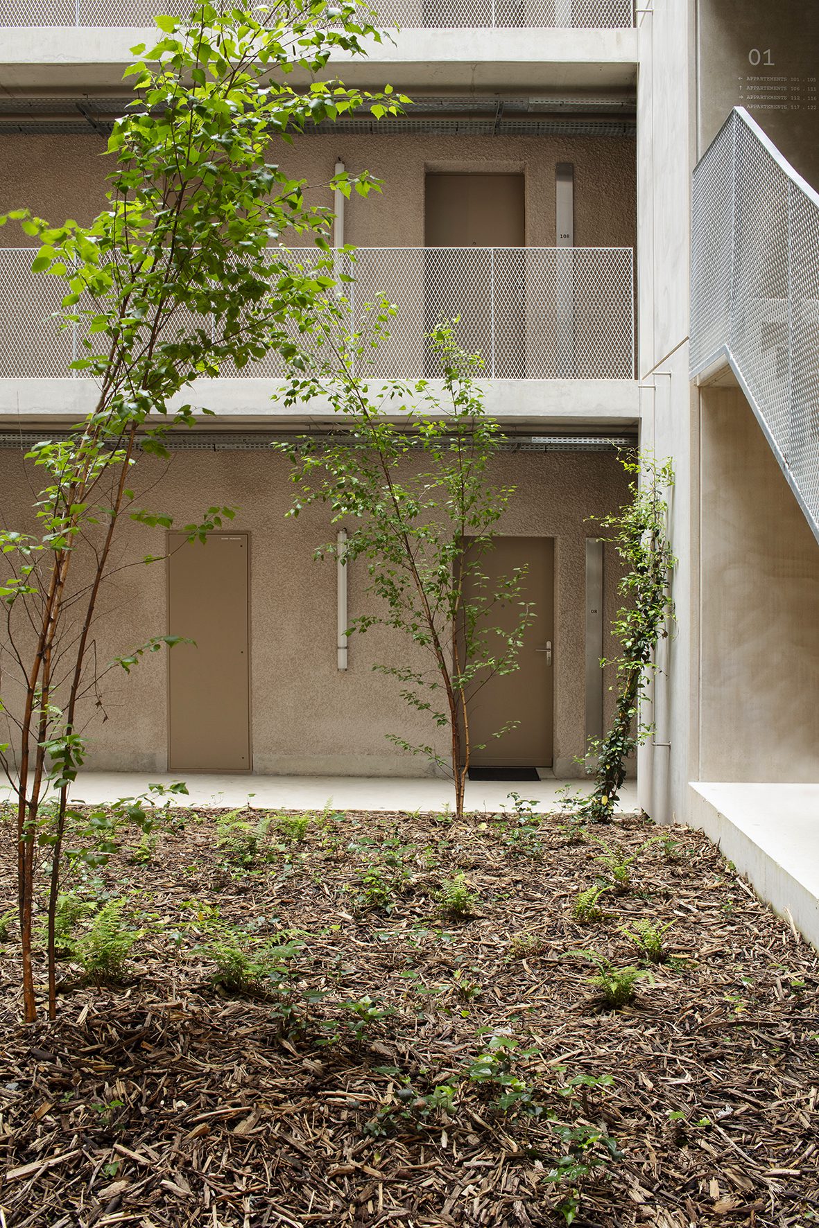 La Roca Student Housing