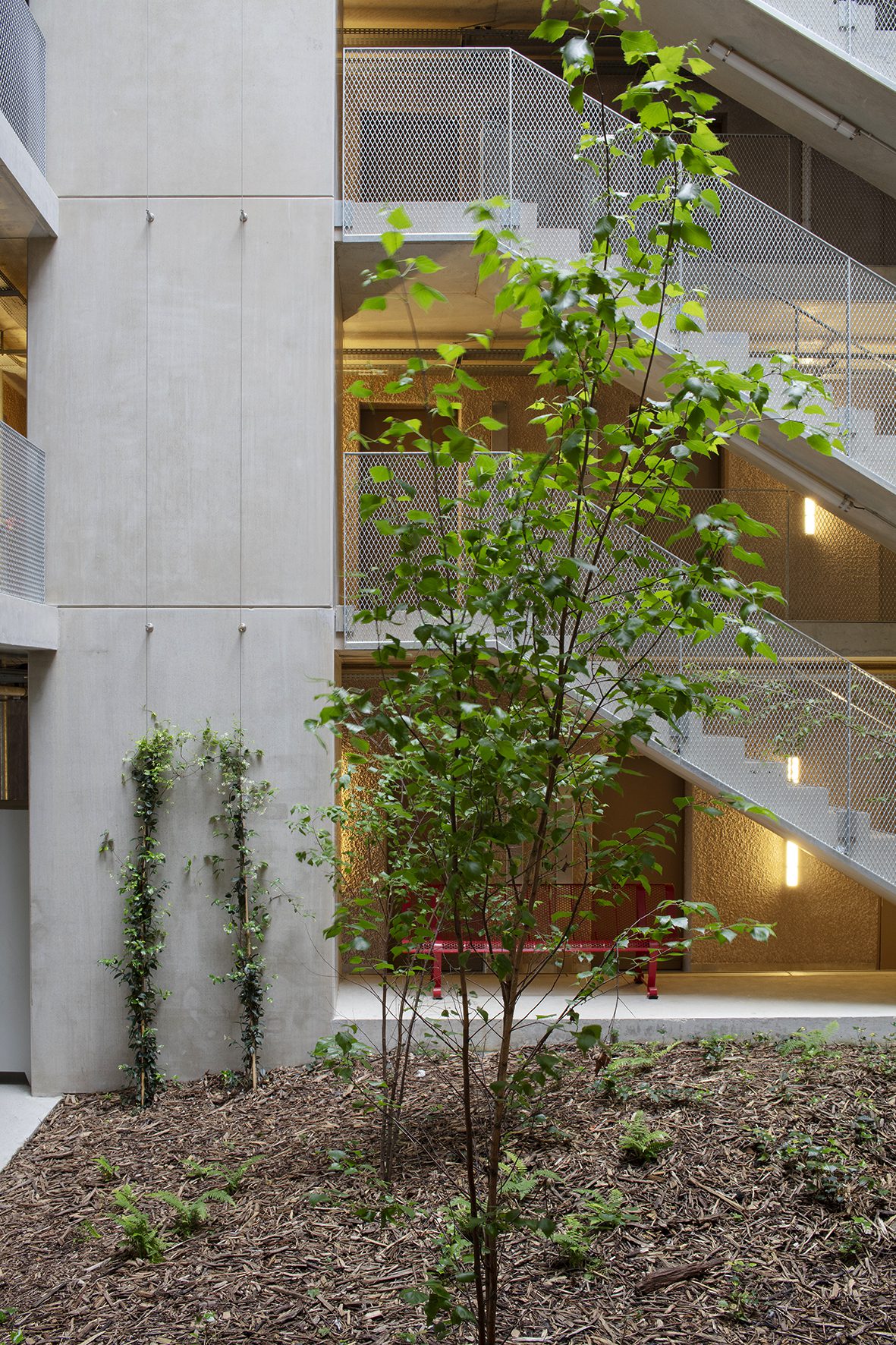 La Roca Student Housing