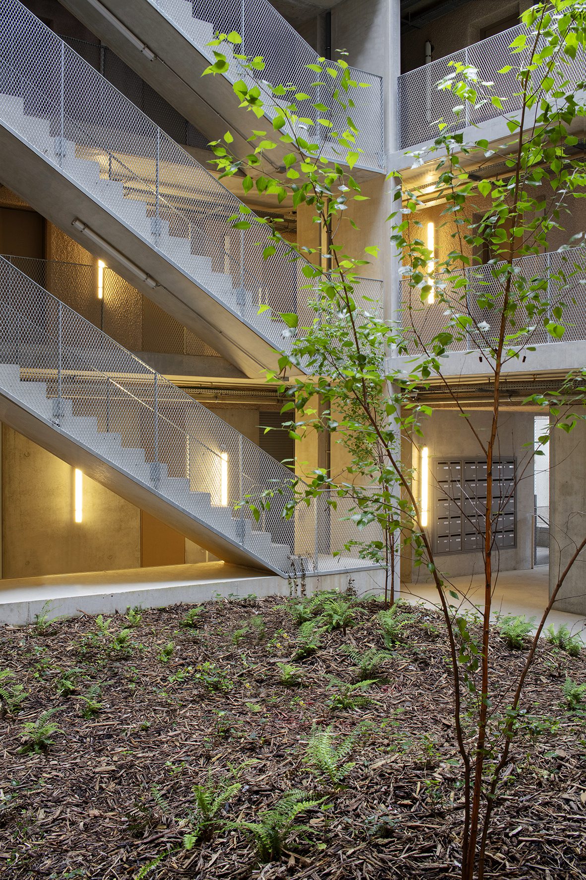 La Roca Student Housing