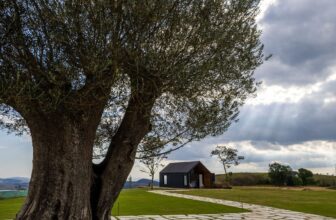 Rancho House