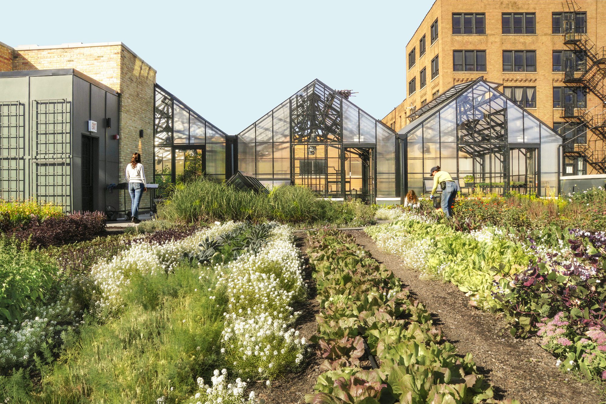 1516 W Carroll Ave Adaptive Reuse Building