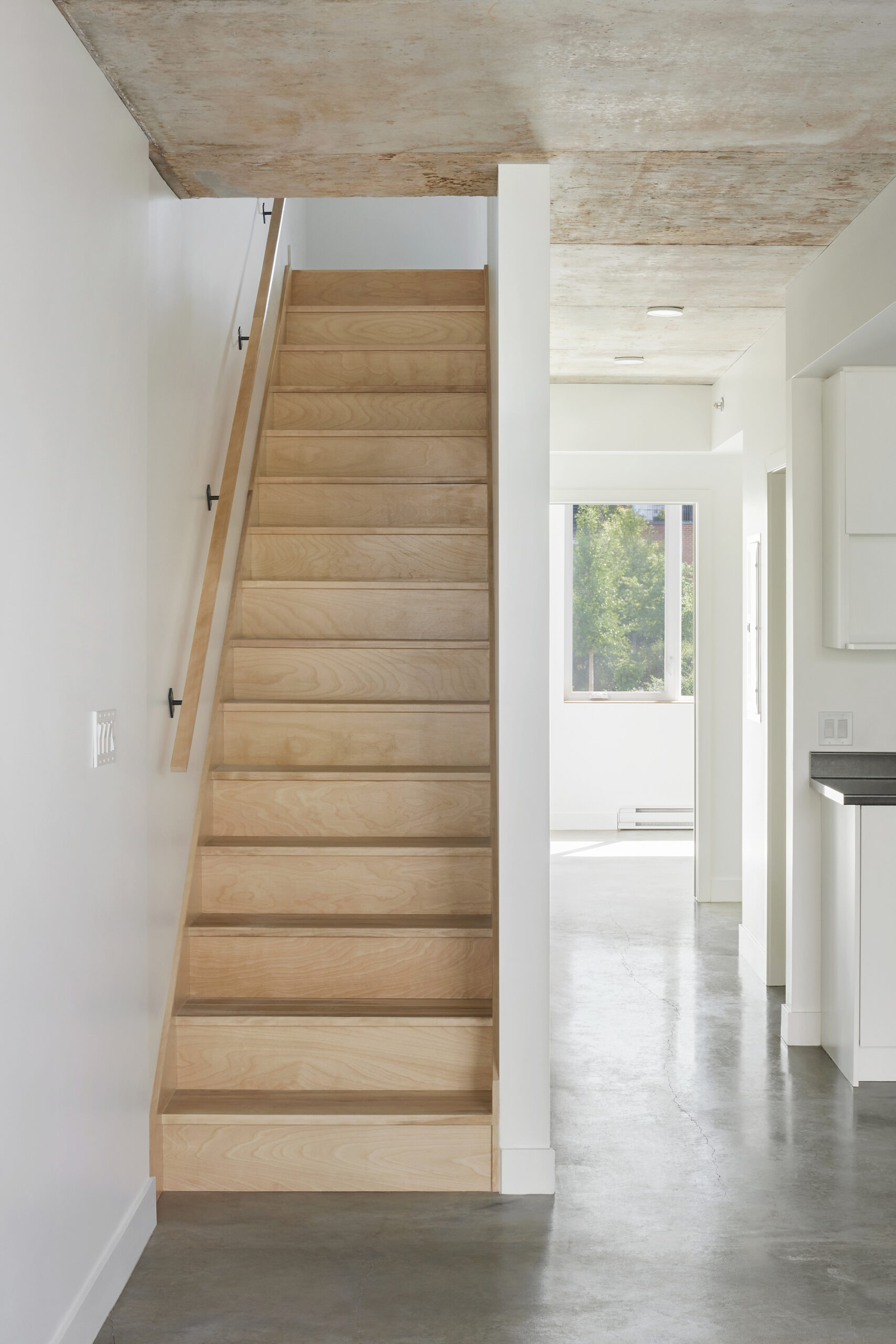 Intergenerational Housing Coop Milieu de l’Île