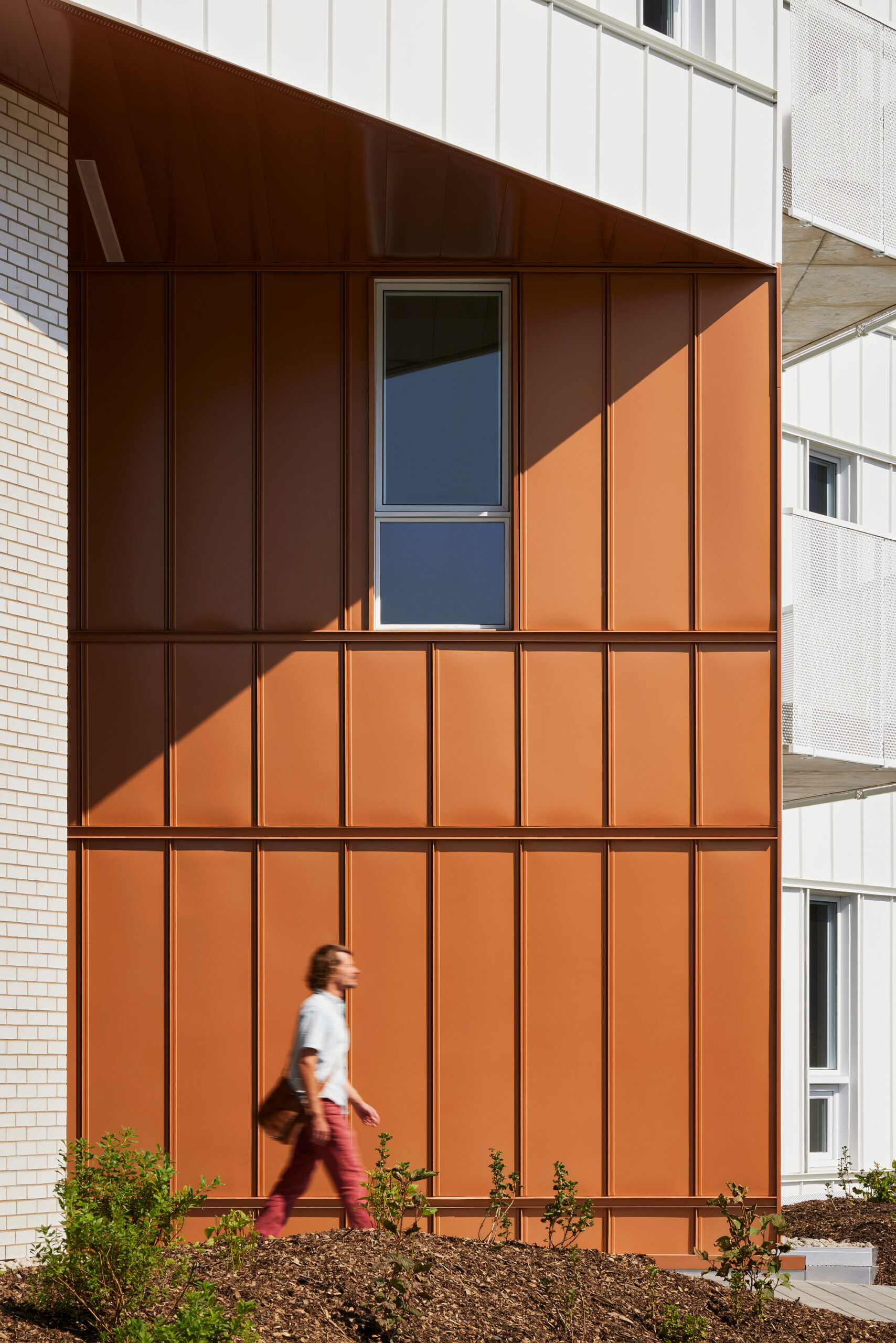 Intergenerational Housing Coop Milieu de l’Île