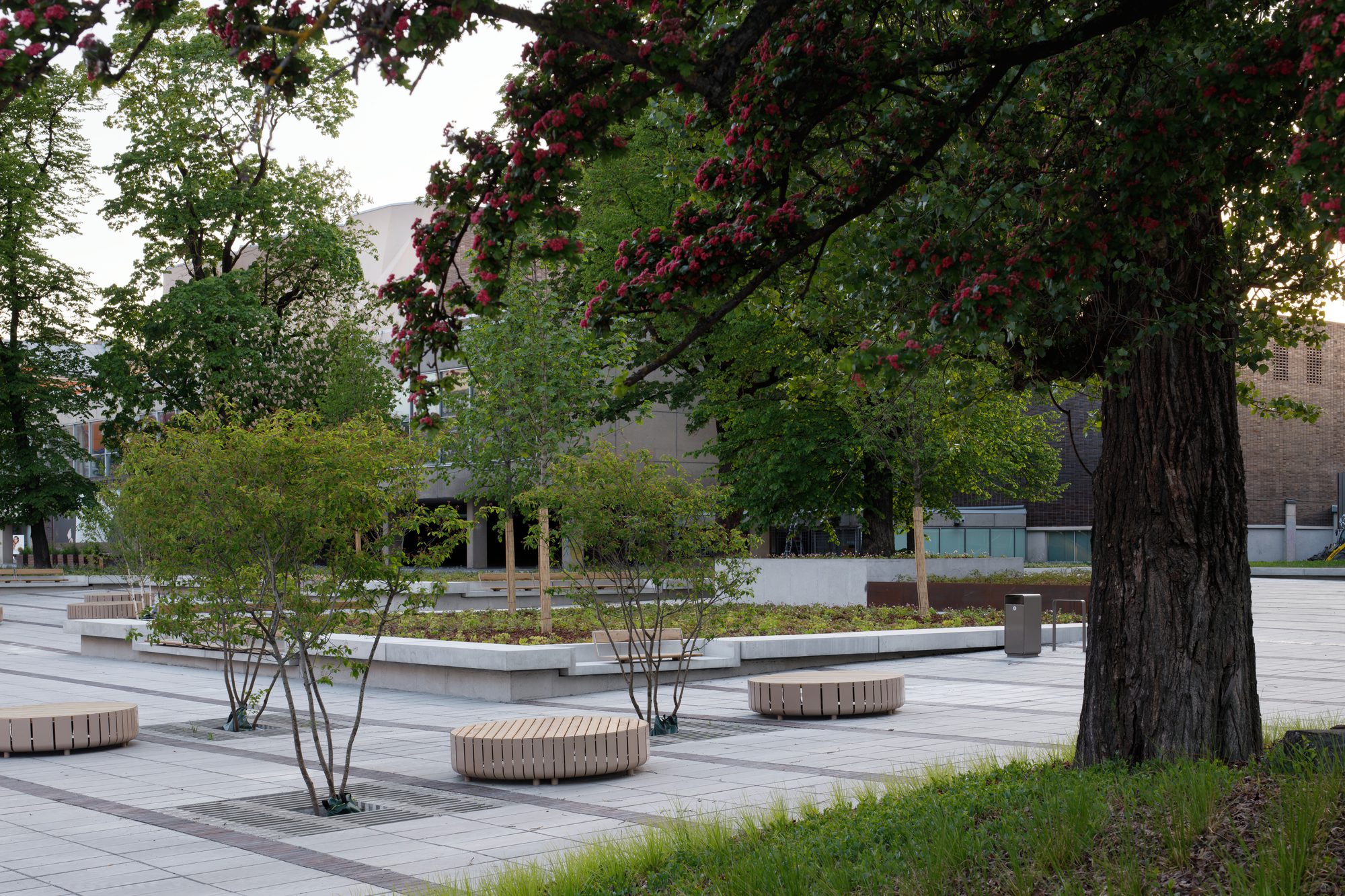 Daile Theatre Square Refurbishment