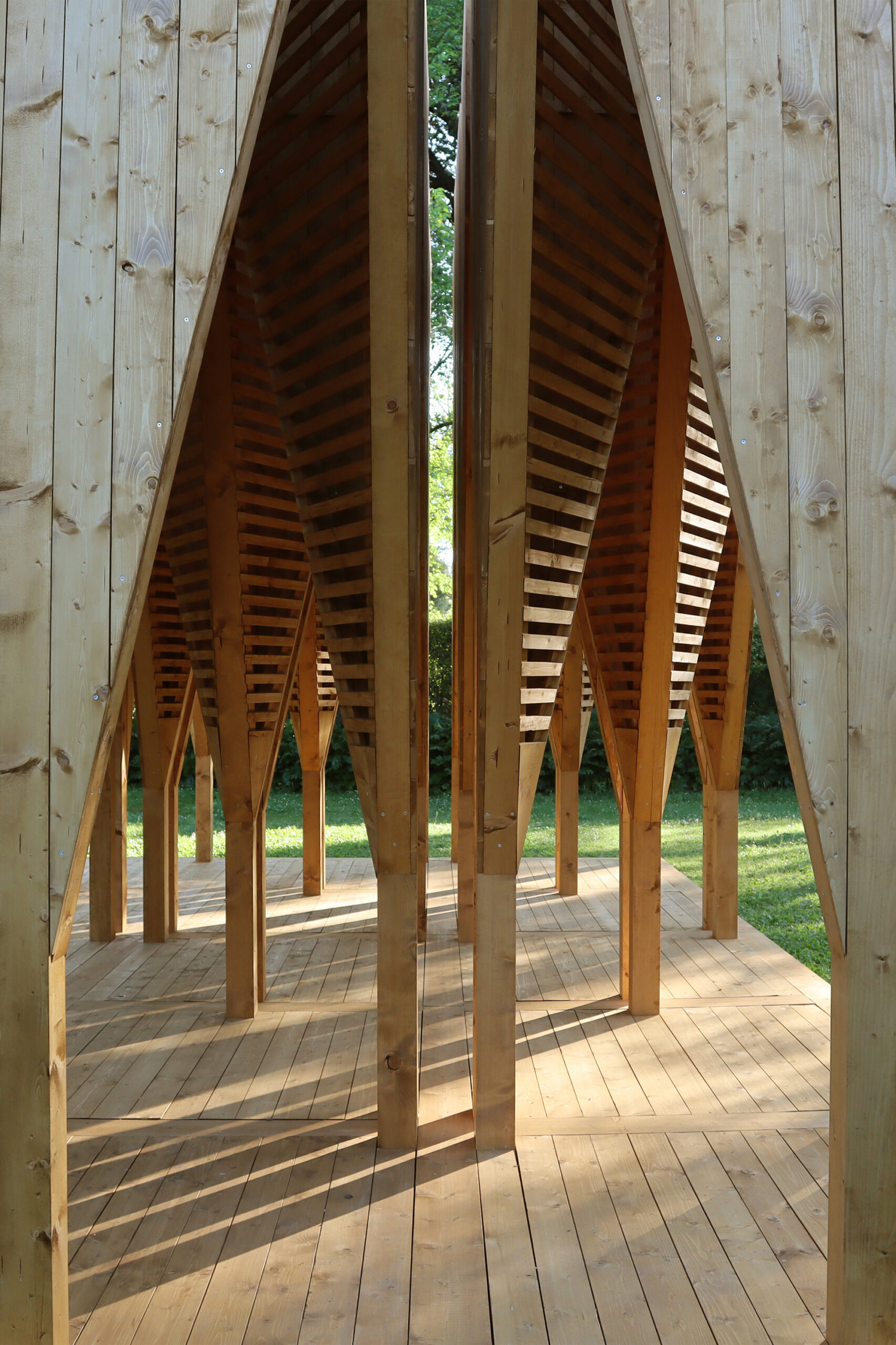 La timidité des cimes Installation