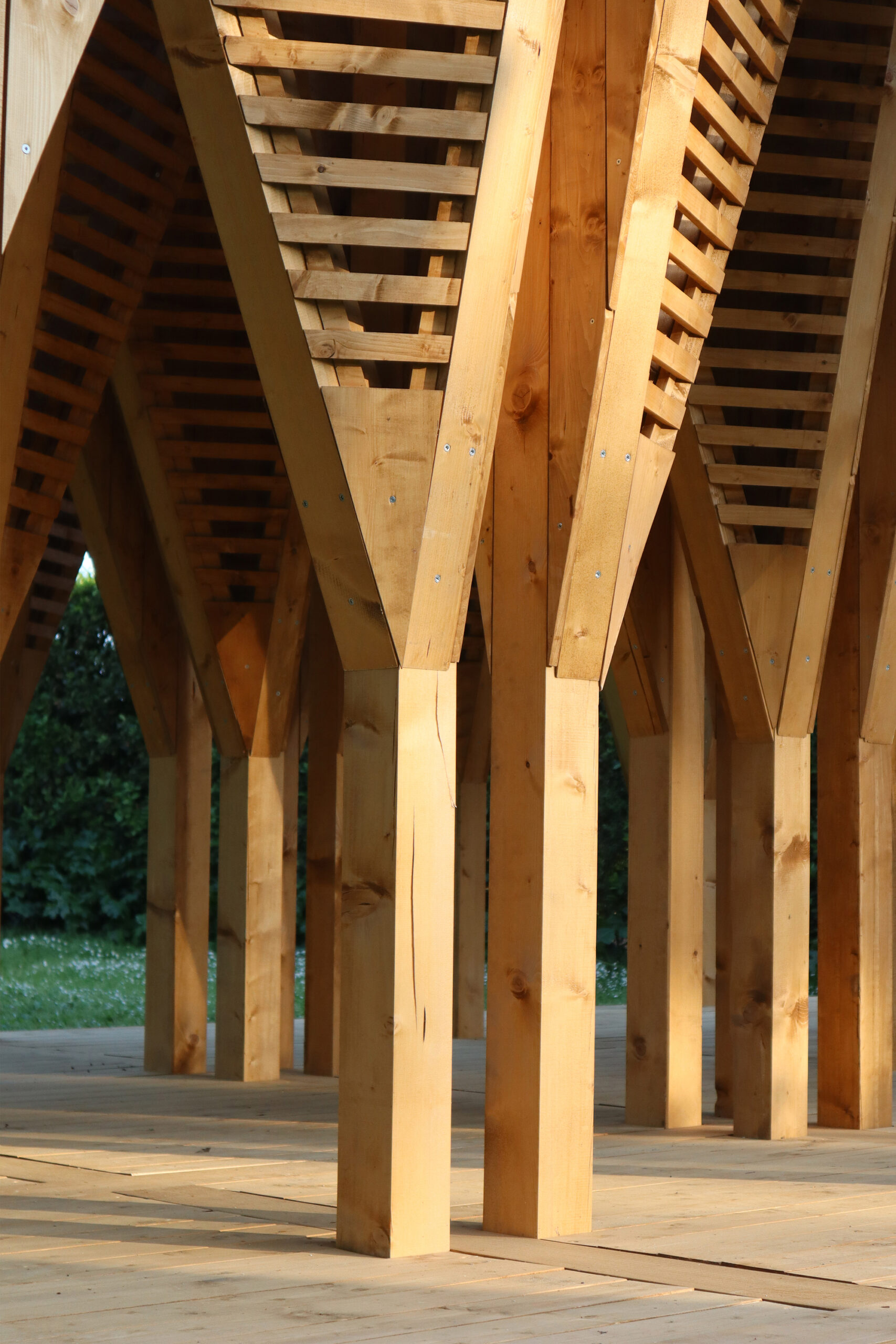La timidité des cimes Installation