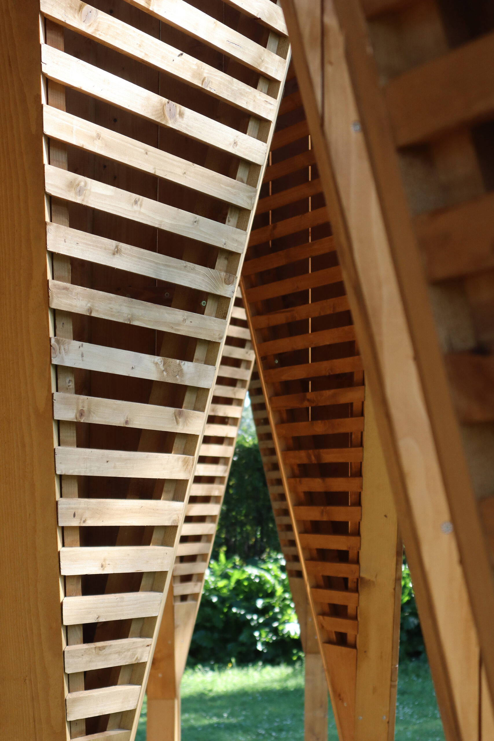 La timidité des cimes Installation