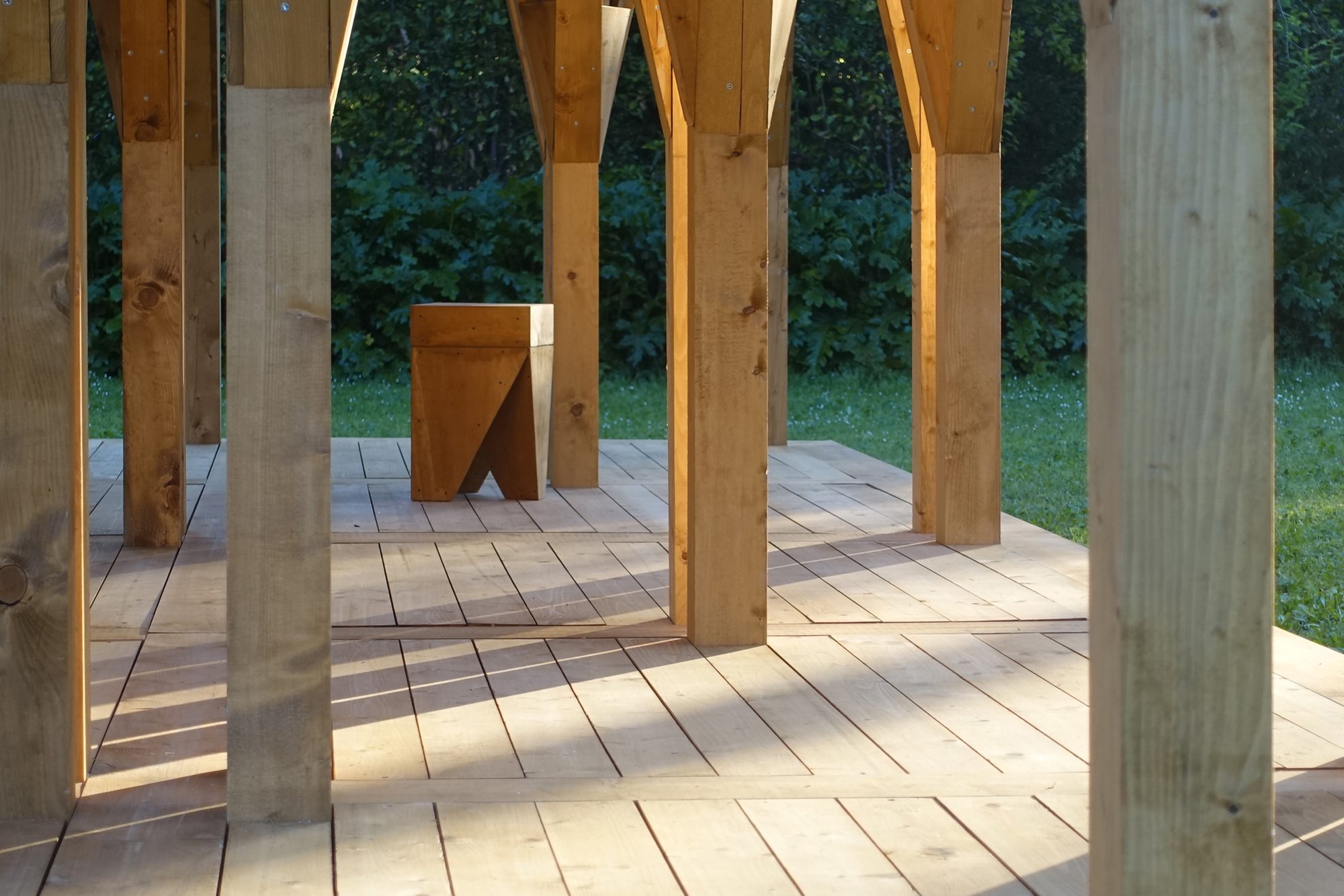 La timidité des cimes Installation