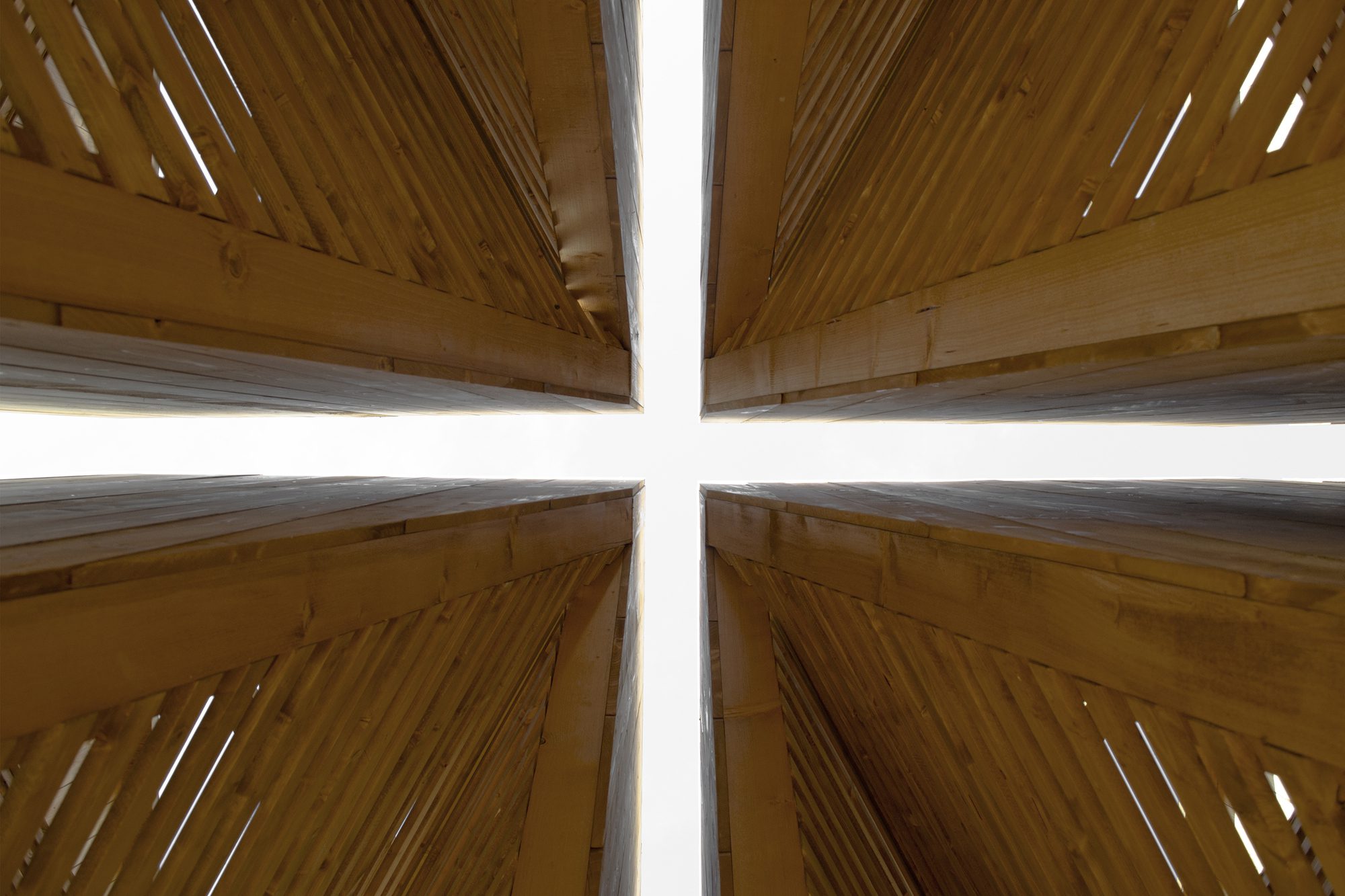 La timidité des cimes Installation