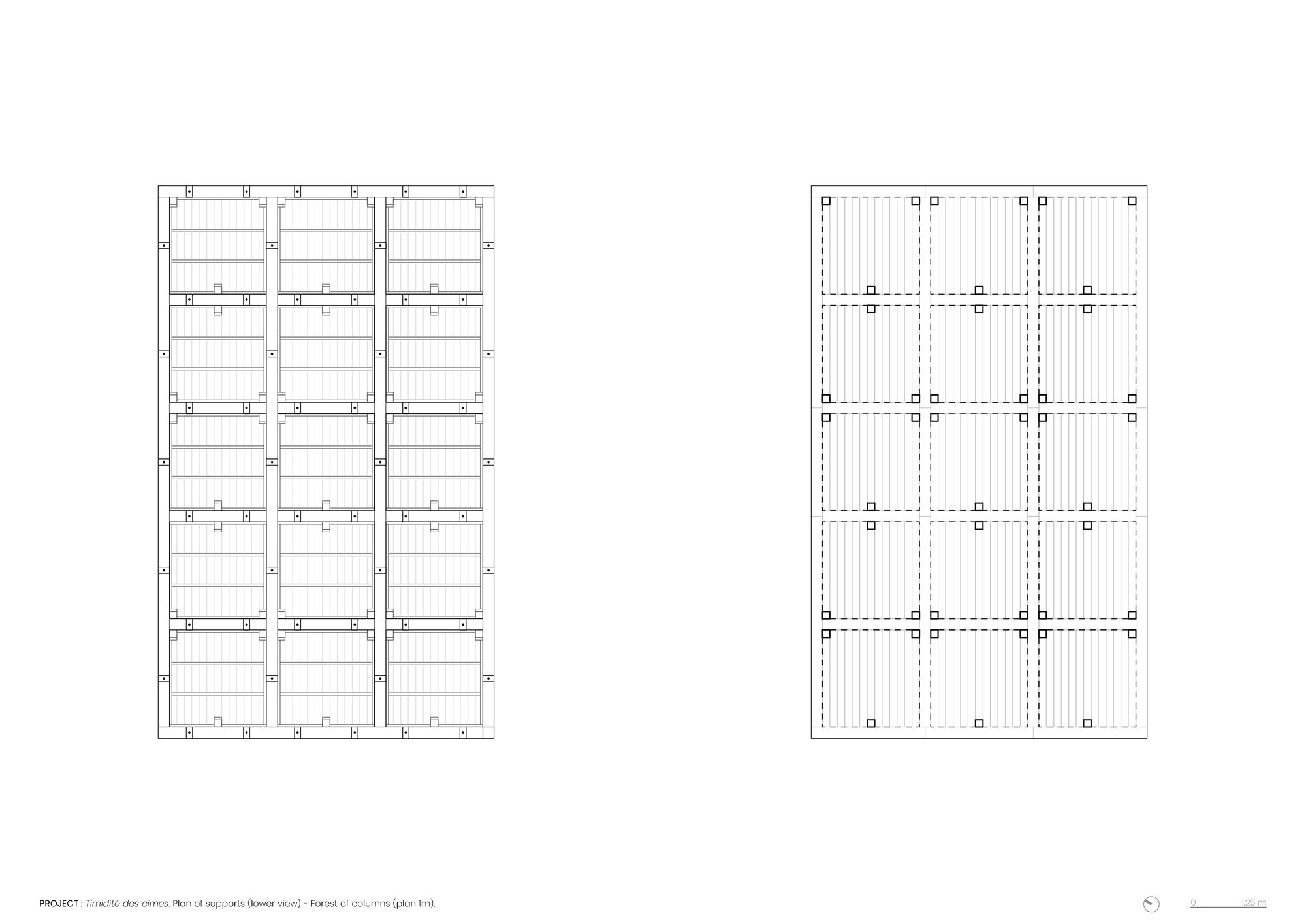 La timidité des cimes Installation
