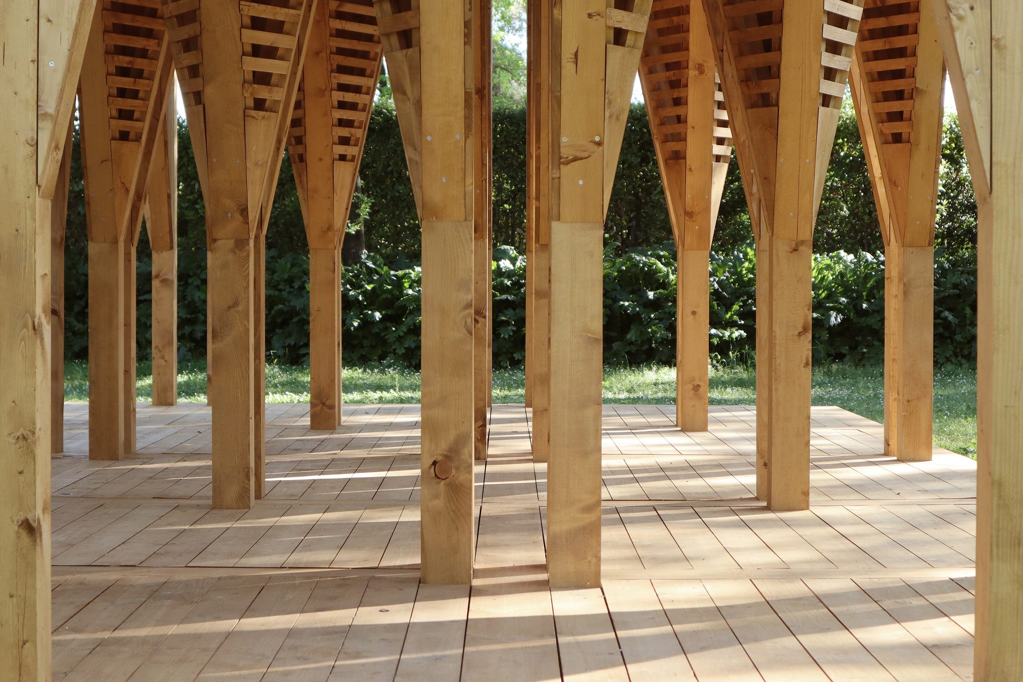 La timidité des cimes Installation