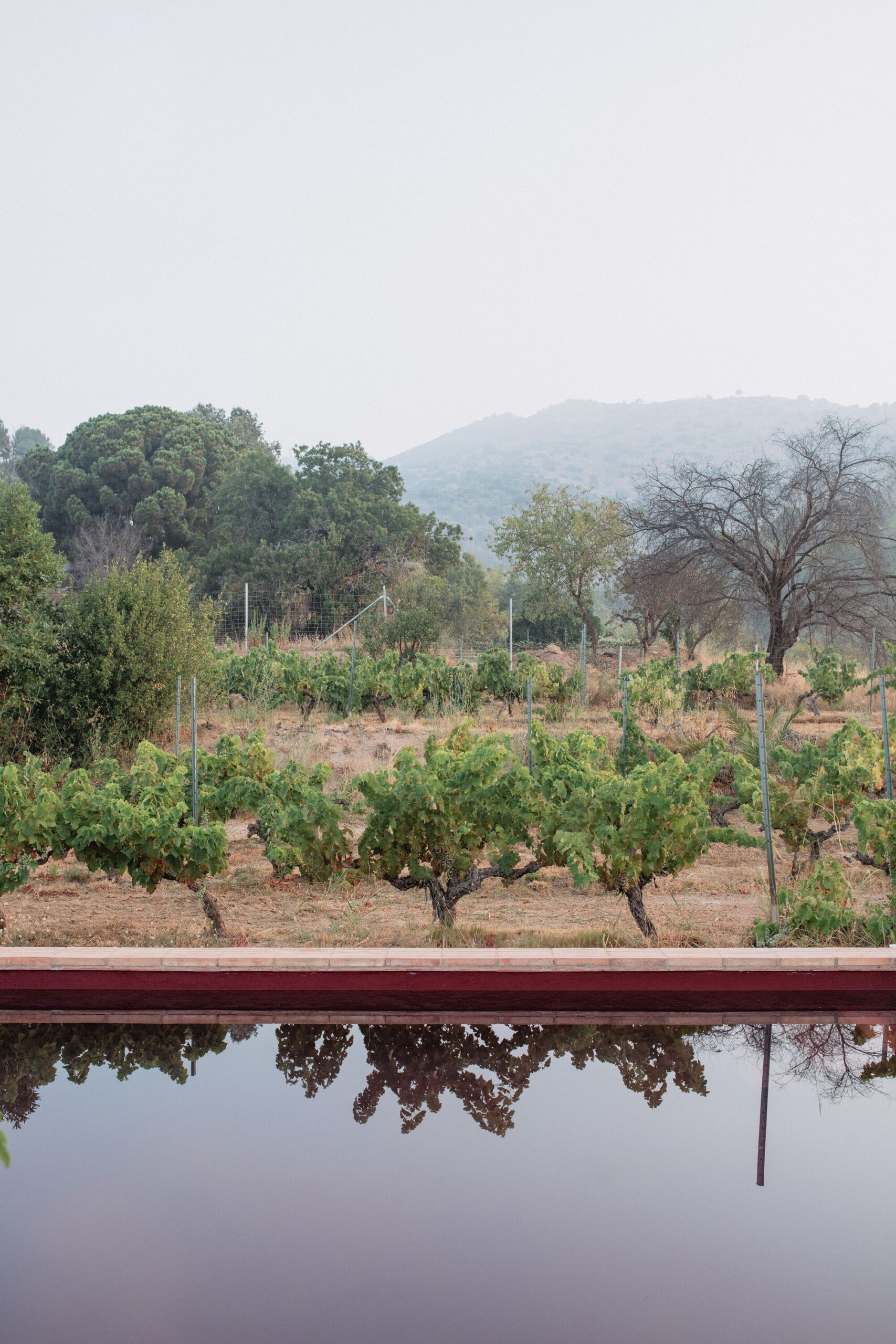 Irrigation Reservoir Bassa D.O. Alella