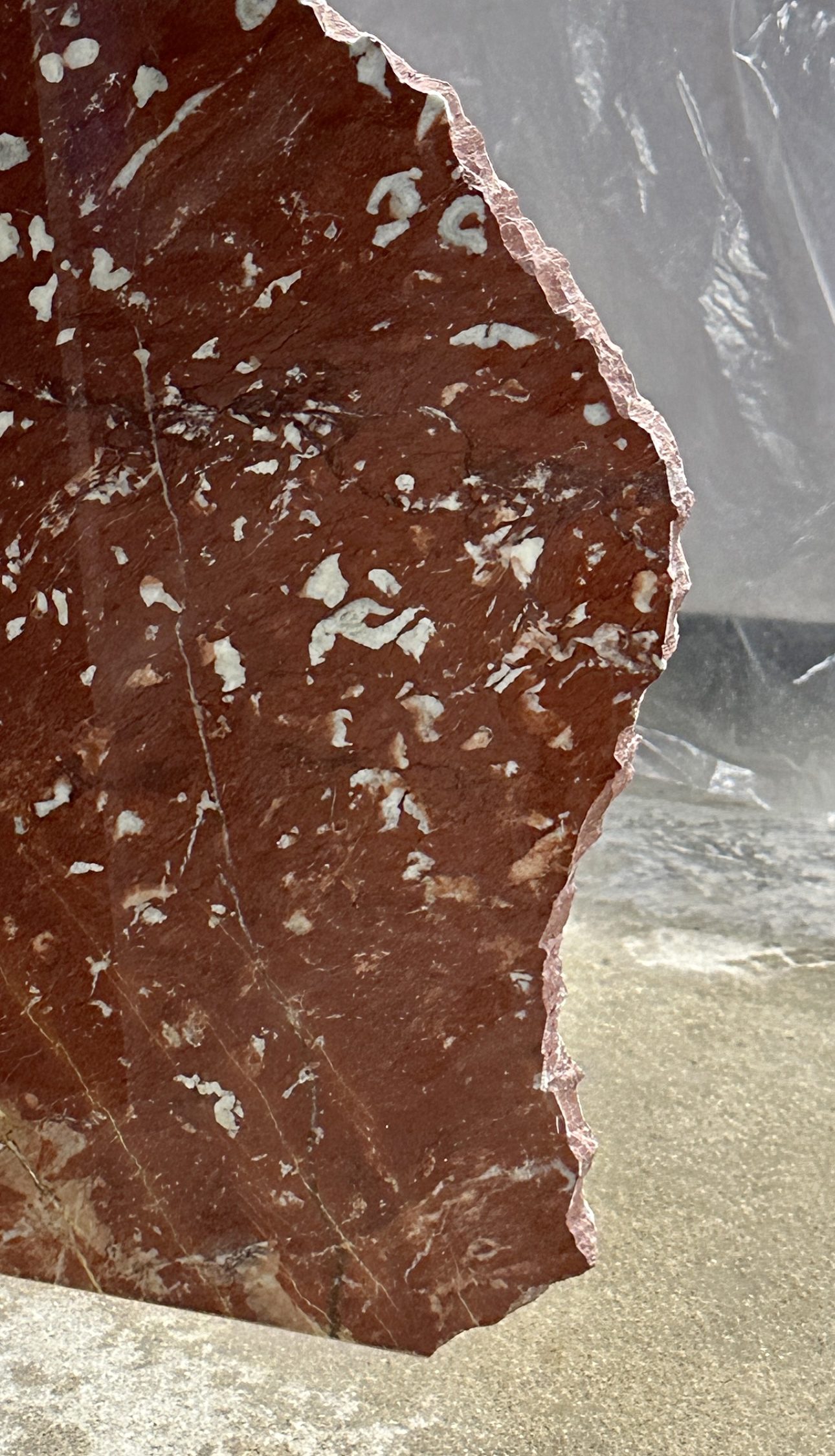 Campana del Rey Rum Bar