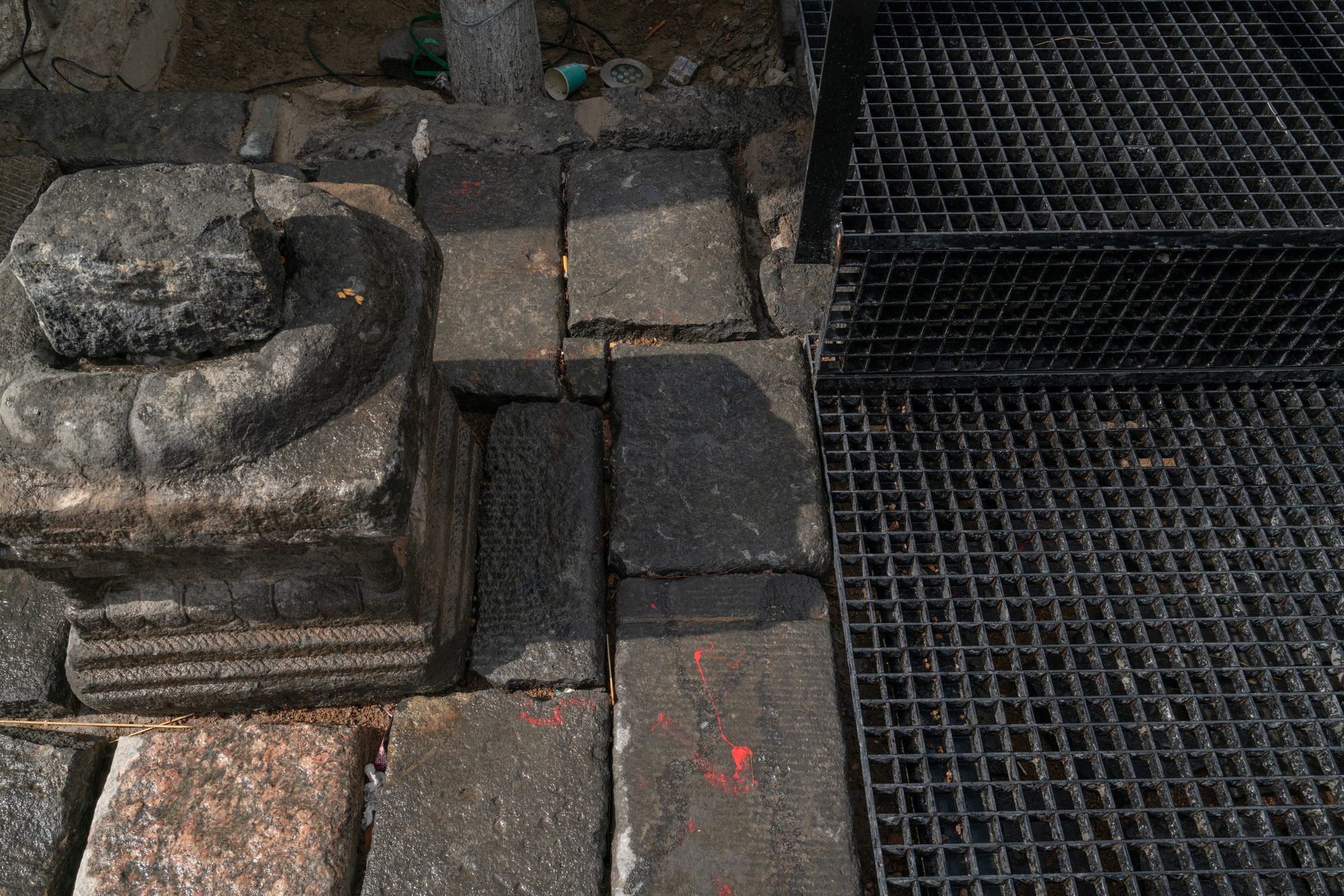 The Disappearing Garden