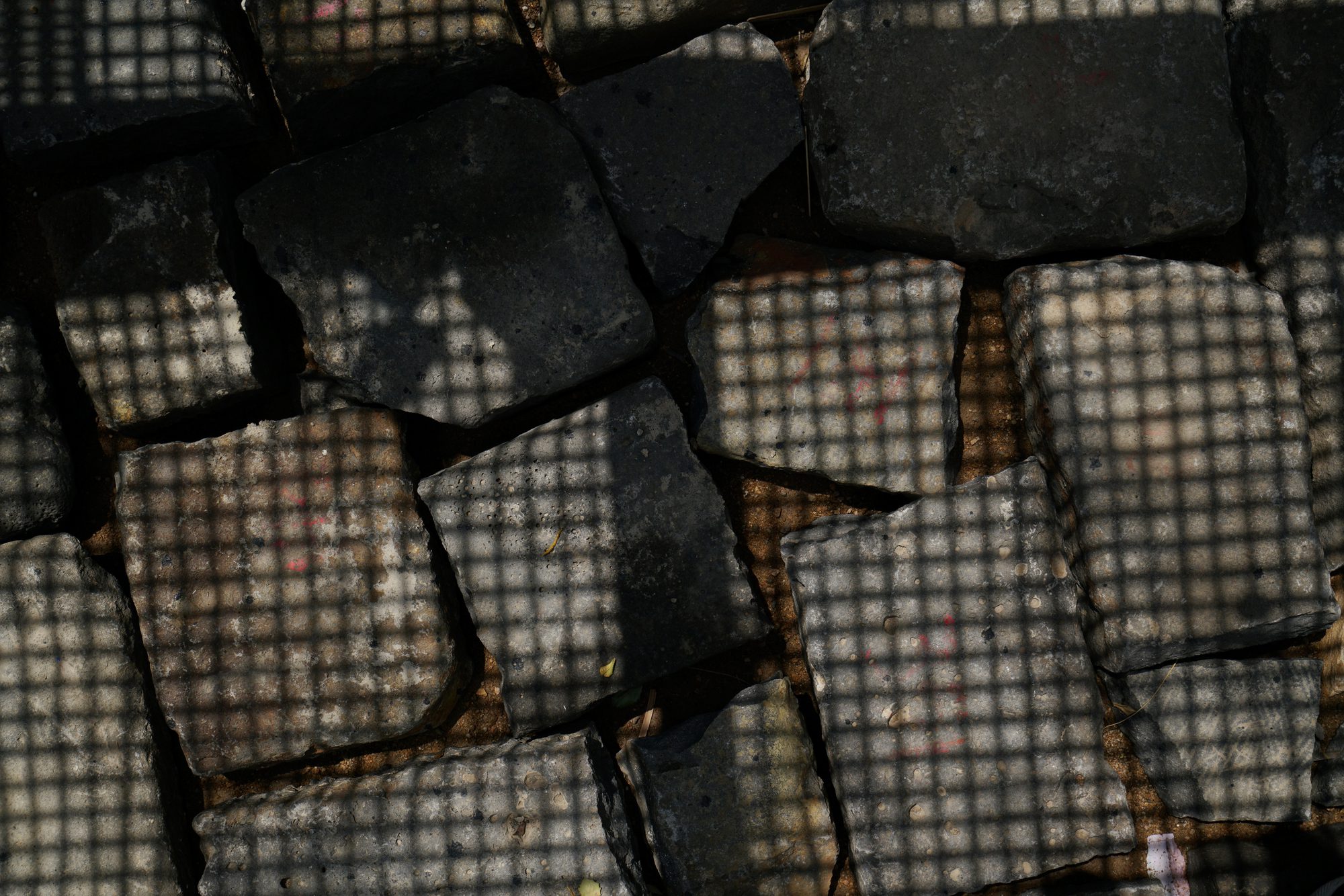 The Disappearing Garden