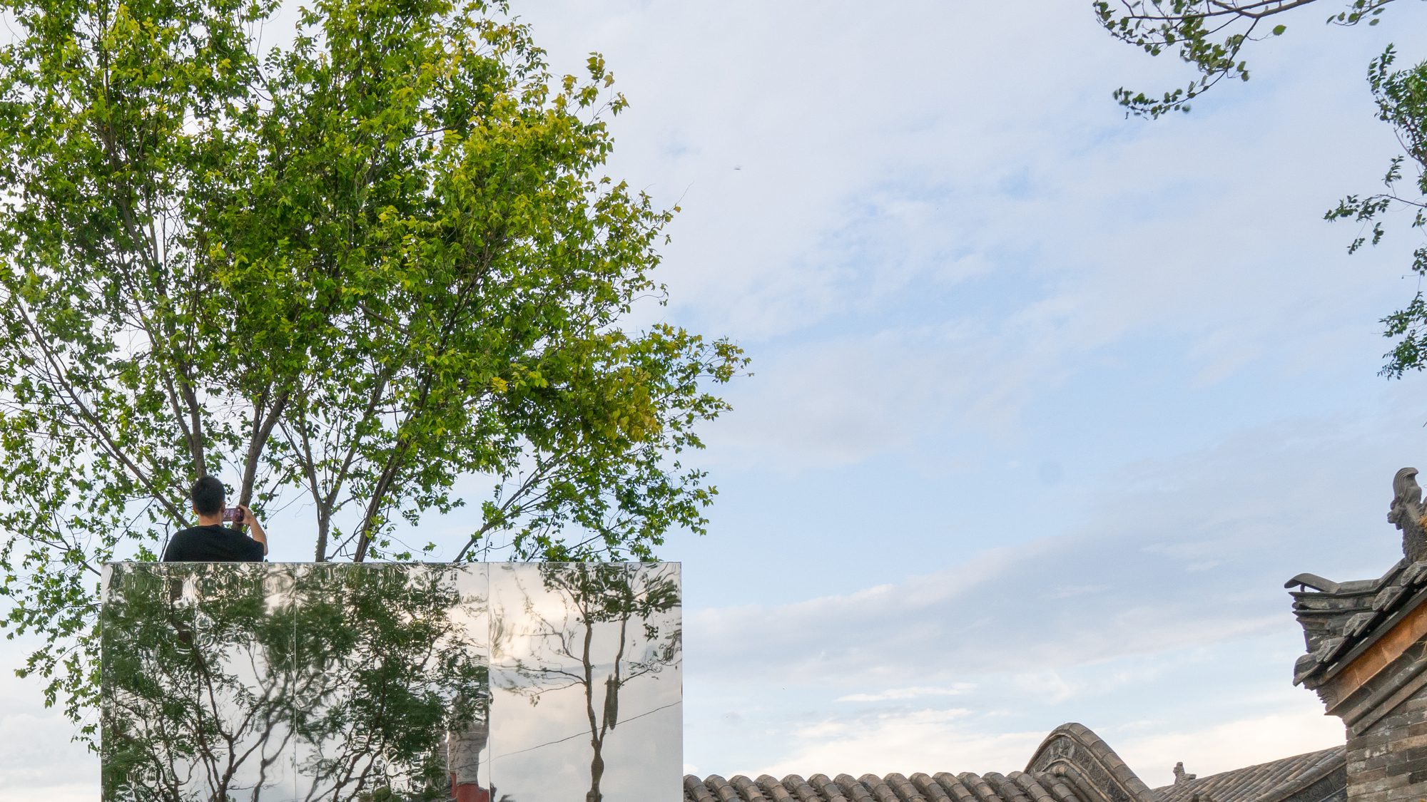 The Disappearing Garden