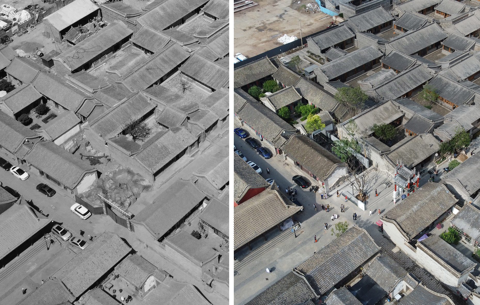 The Disappearing Garden