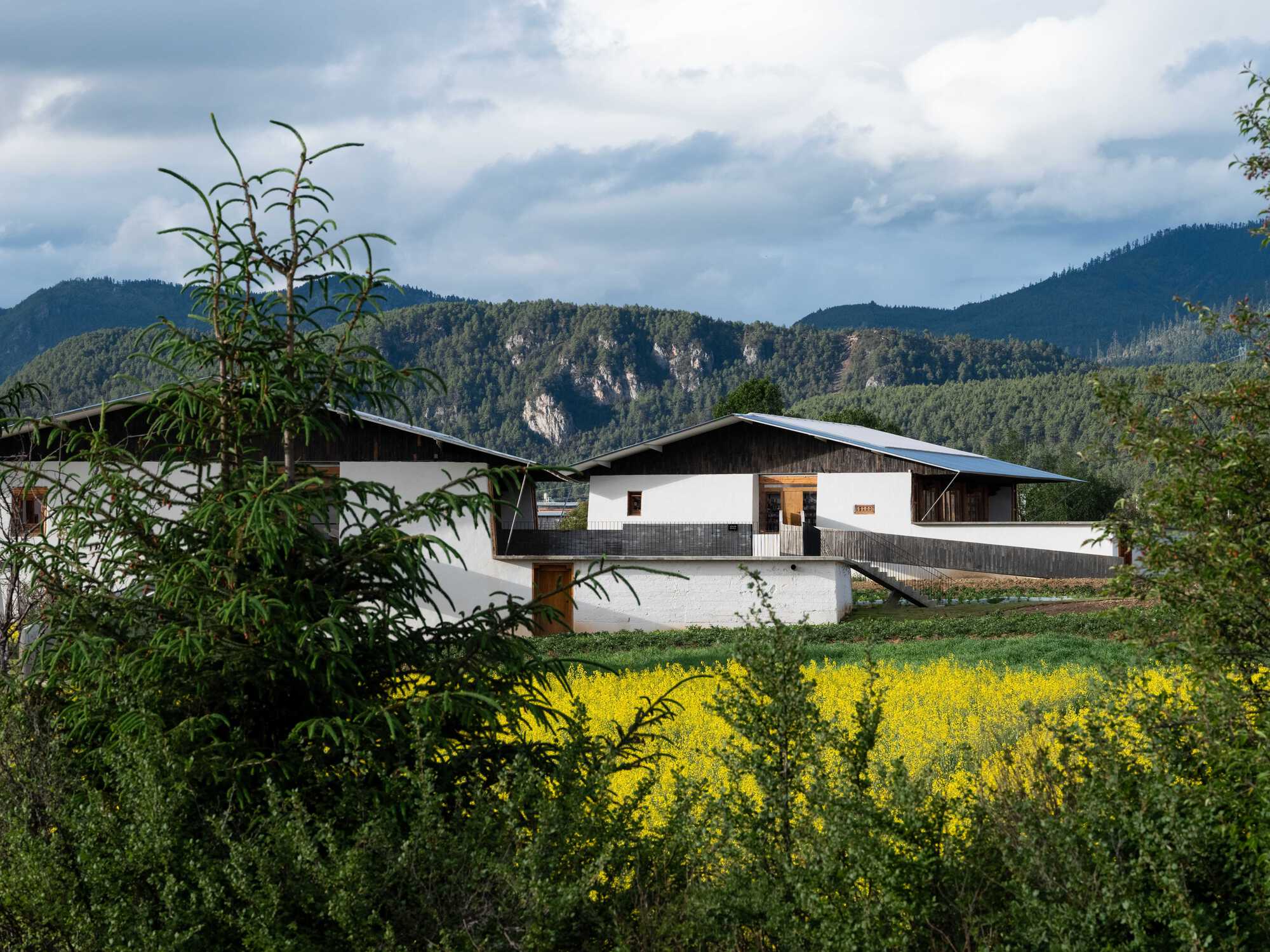 Librairie Avant-grade in Shangri-La