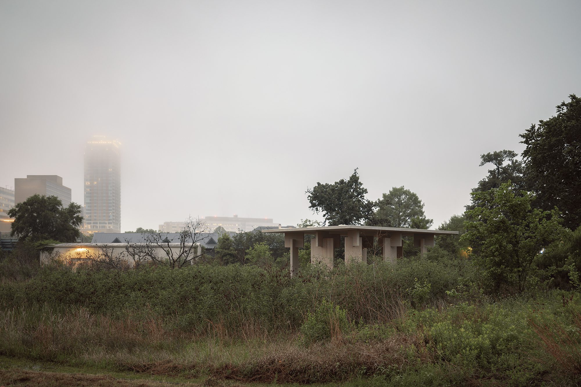 Mass Timber Pavillion