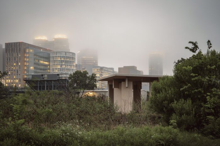 Mass Timber Pavillion