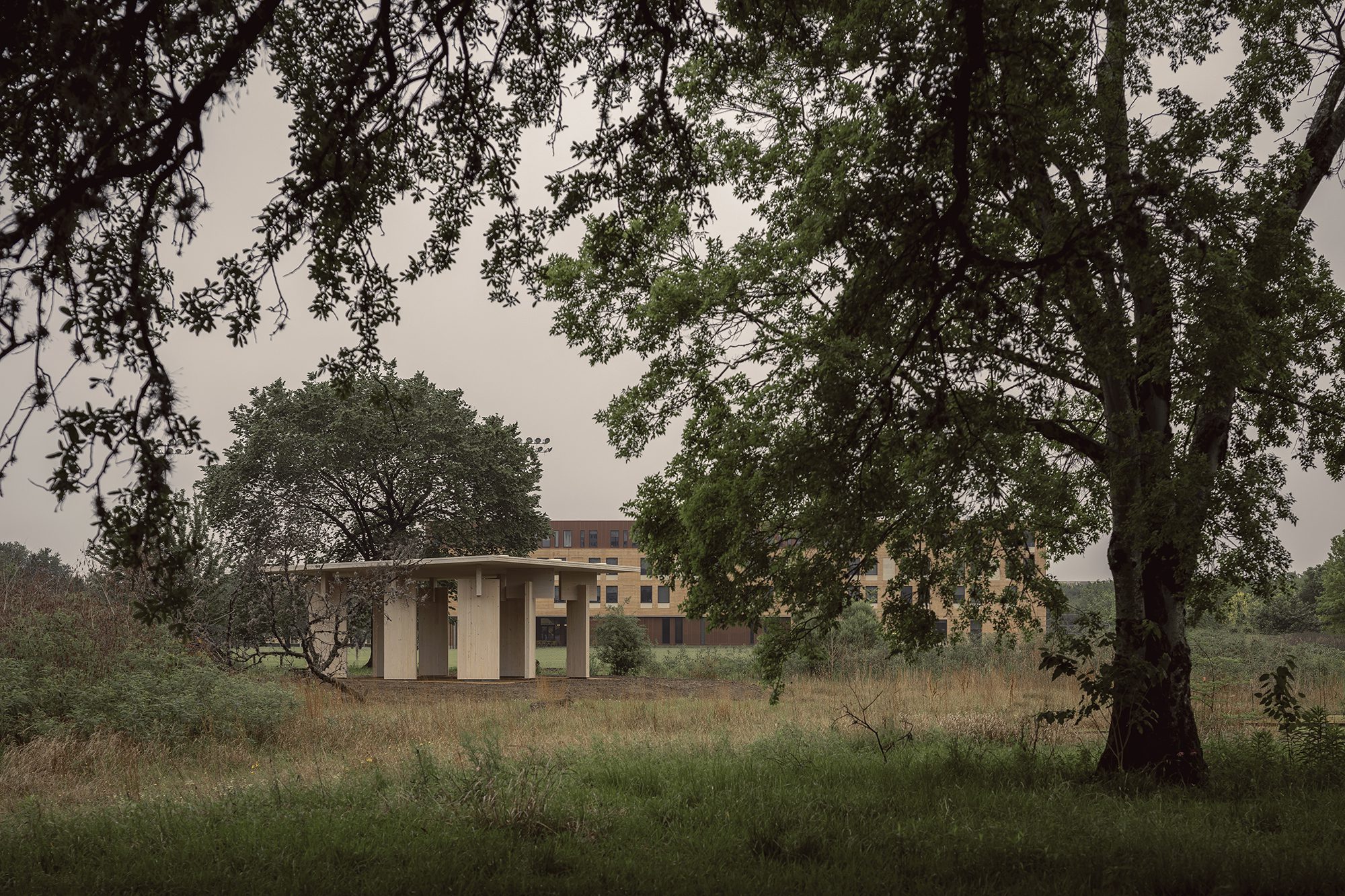 Mass Timber Pavillion